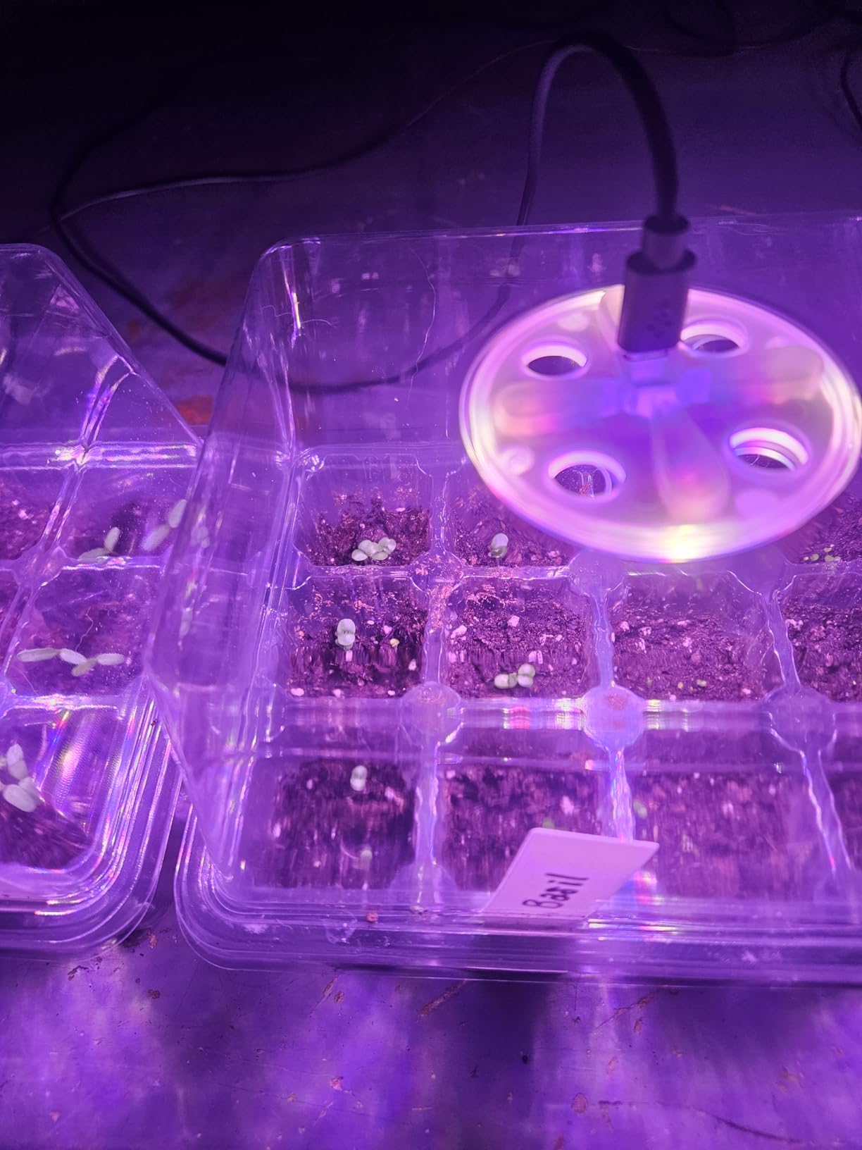 Bonviee 5 Packs Seed Starter Tray with Grow Light, Elevated Seedling Starter Trays Kits with Adjustable Humidity Domes and Clear Cell Tray, 12 Full Spectrum led lamp Beads for Plants Indoor-Clear customer photo 1