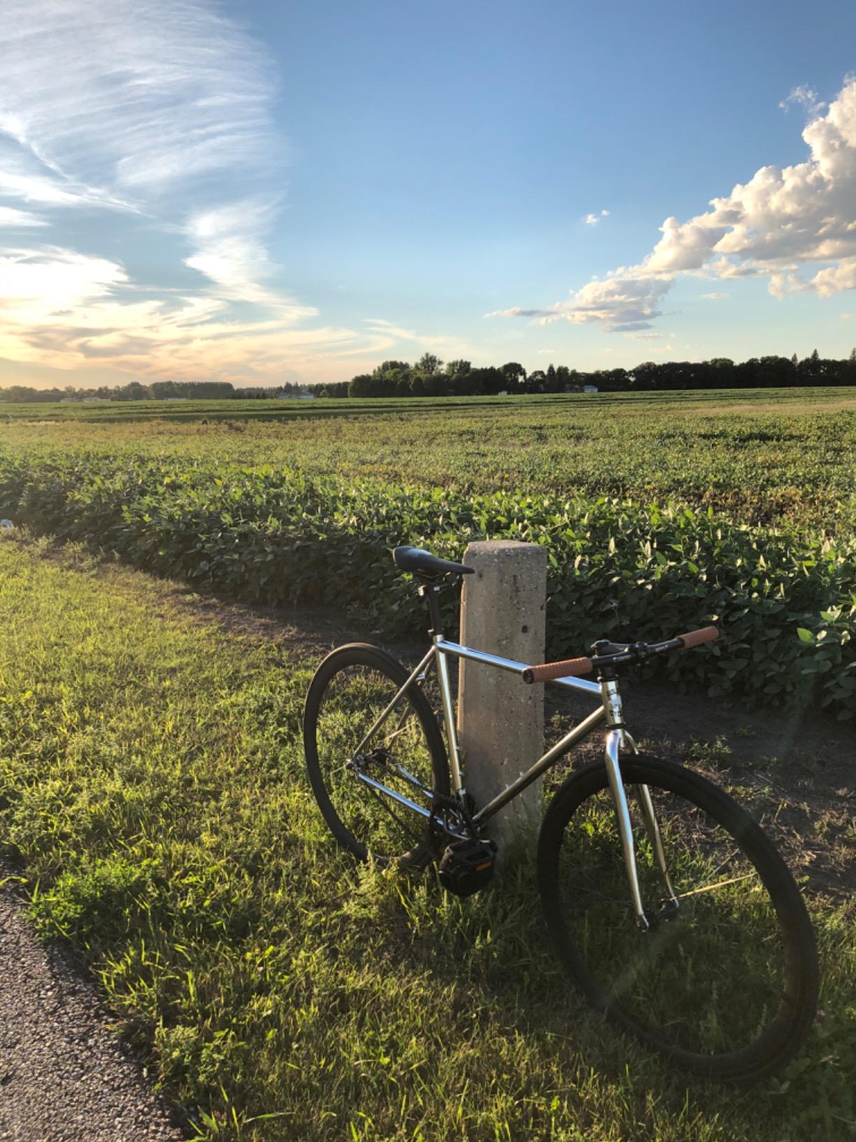 Golden Cycles Fixed Gear Single Speed Bike - Perfect Urban Commuter Bicycle with Front and Rear Brakes - Ideal for Teens and Adults - The Bike Comes in Different Sizes customer photo 2