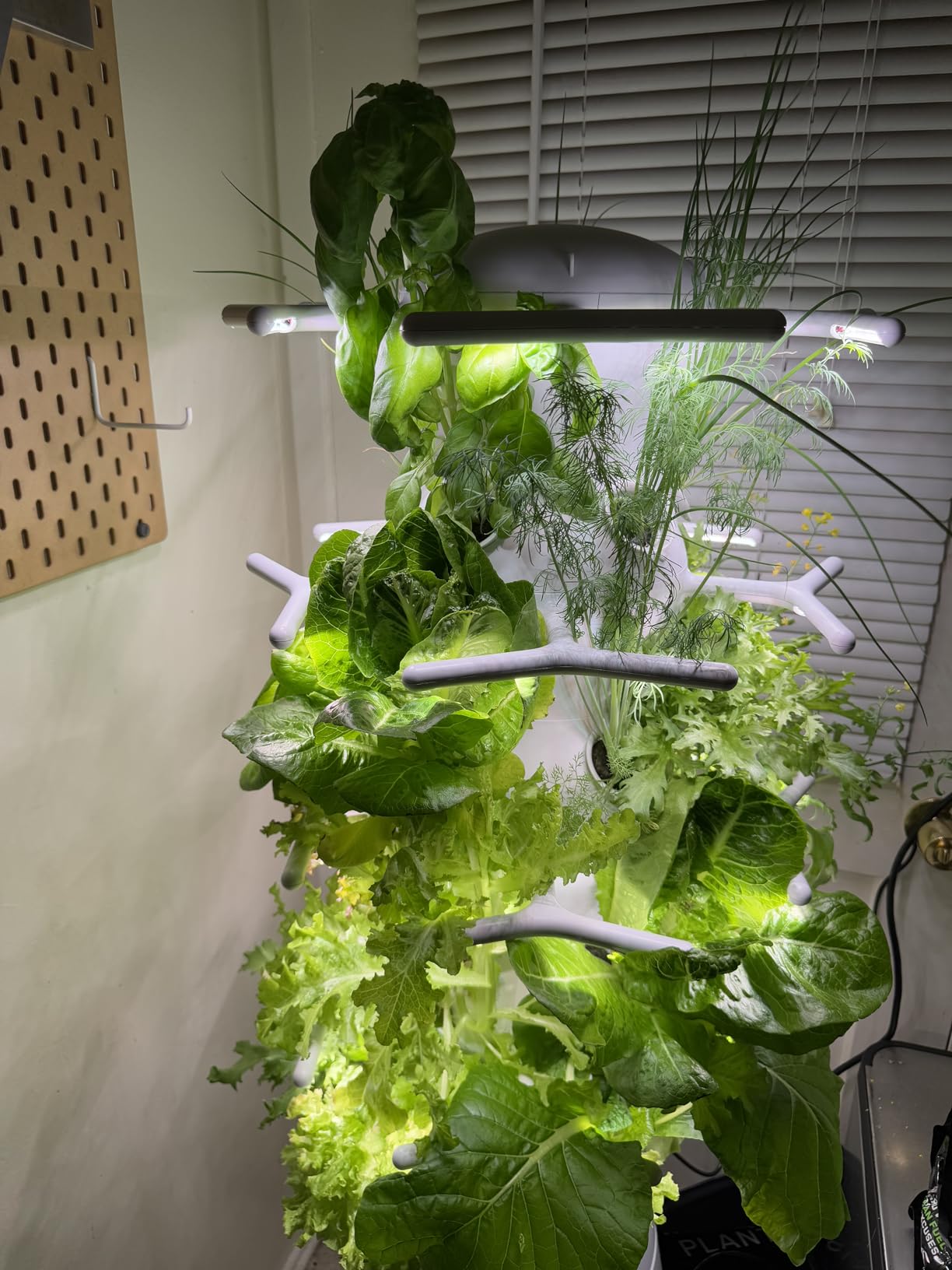 Lettuce Grow Farmstand Nook 4ft.7in Vertical Hydroponic Garden Tower - Self-Watering, Vertical Hydroponic Tower with LED Grow Lights, 20 Live Seedlings, Smart Timer - Indoor Vertical Growing Tower customer photo 1