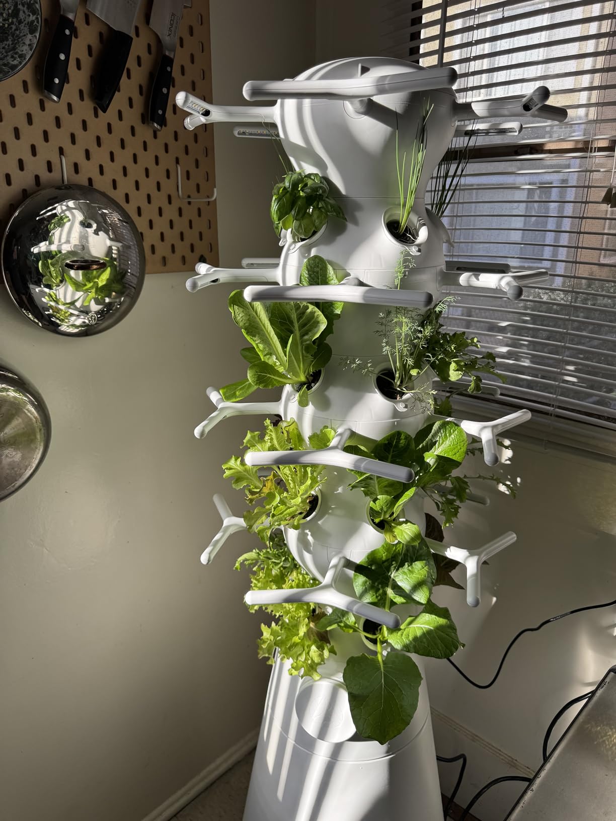 Lettuce Grow Farmstand Nook 4ft.7in Vertical Hydroponic Garden Tower - Self-Watering, Vertical Hydroponic Tower with LED Grow Lights, 20 Live Seedlings, Smart Timer - Indoor Vertical Growing Tower customer photo 2