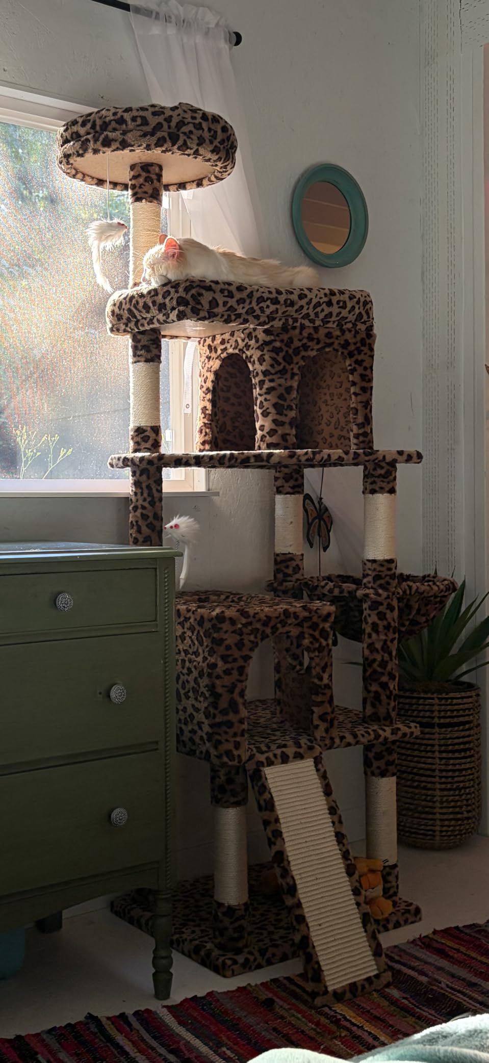 Globlazer Heavy Duty Cat Trees for Large Cats, Sturdy 72in Maine Coon Cat Tree for Large Cats 20 lbs+ Heavy Duty Cat Tower with 6 Scratching Posts, Hammock, S72, Dark Gray customer photo 1