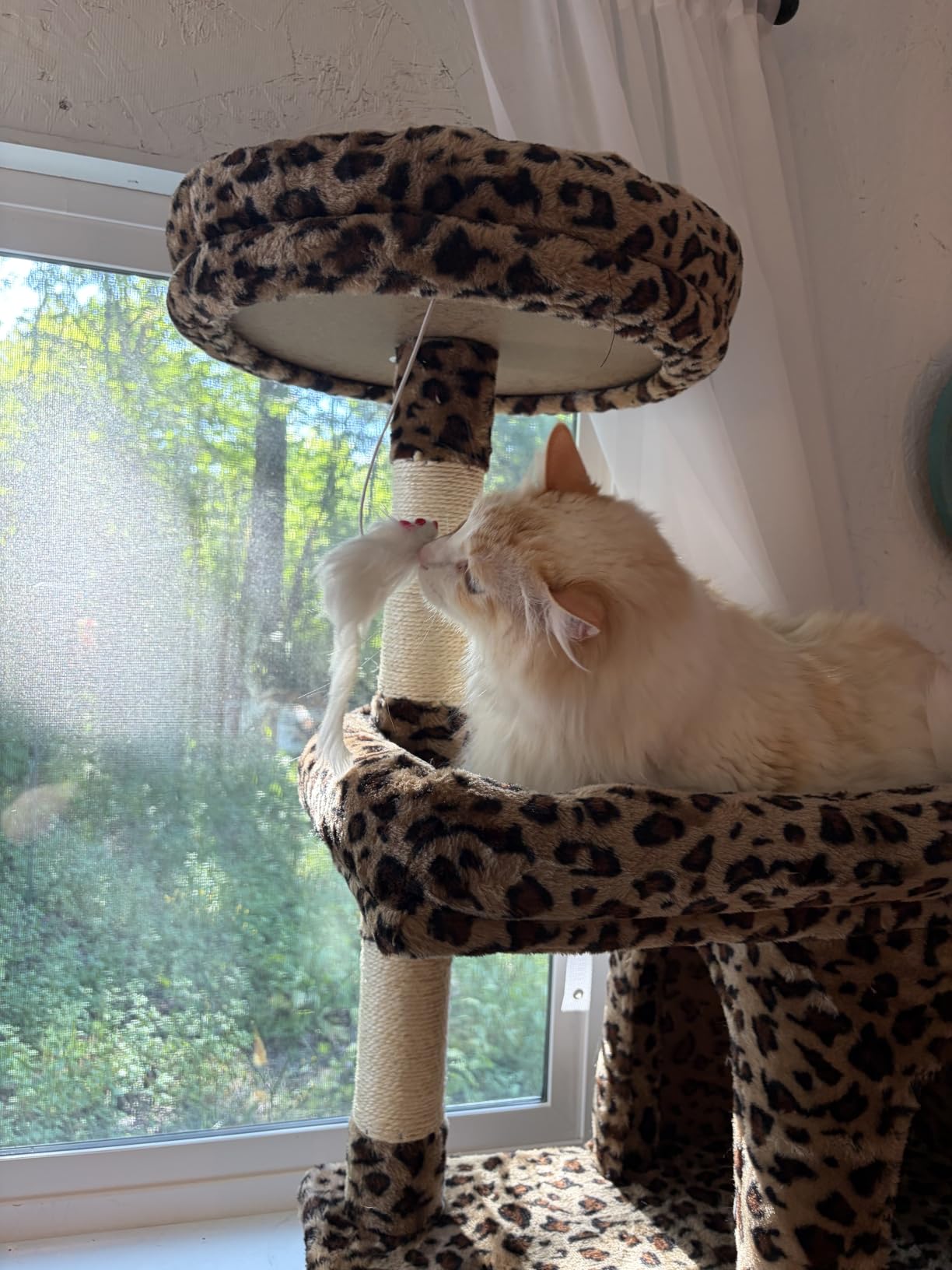 Globlazer Heavy Duty Cat Trees for Large Cats, Sturdy 72in Maine Coon Cat Tree for Large Cats 20 lbs+ Heavy Duty Cat Tower with 6 Scratching Posts, Hammock, S72, Dark Gray customer photo 2