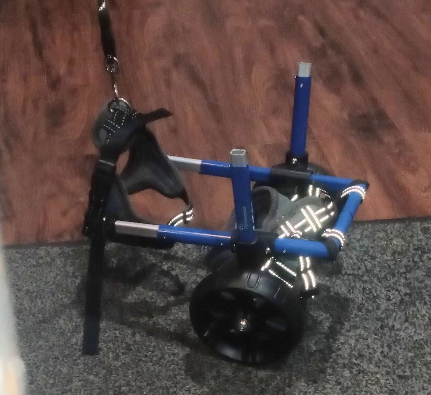 Dog Wheelchair for Back Legs with Upgraded All-Terrain Tires & Durable Bearings, Adjustable Dog Wheelchair for 9