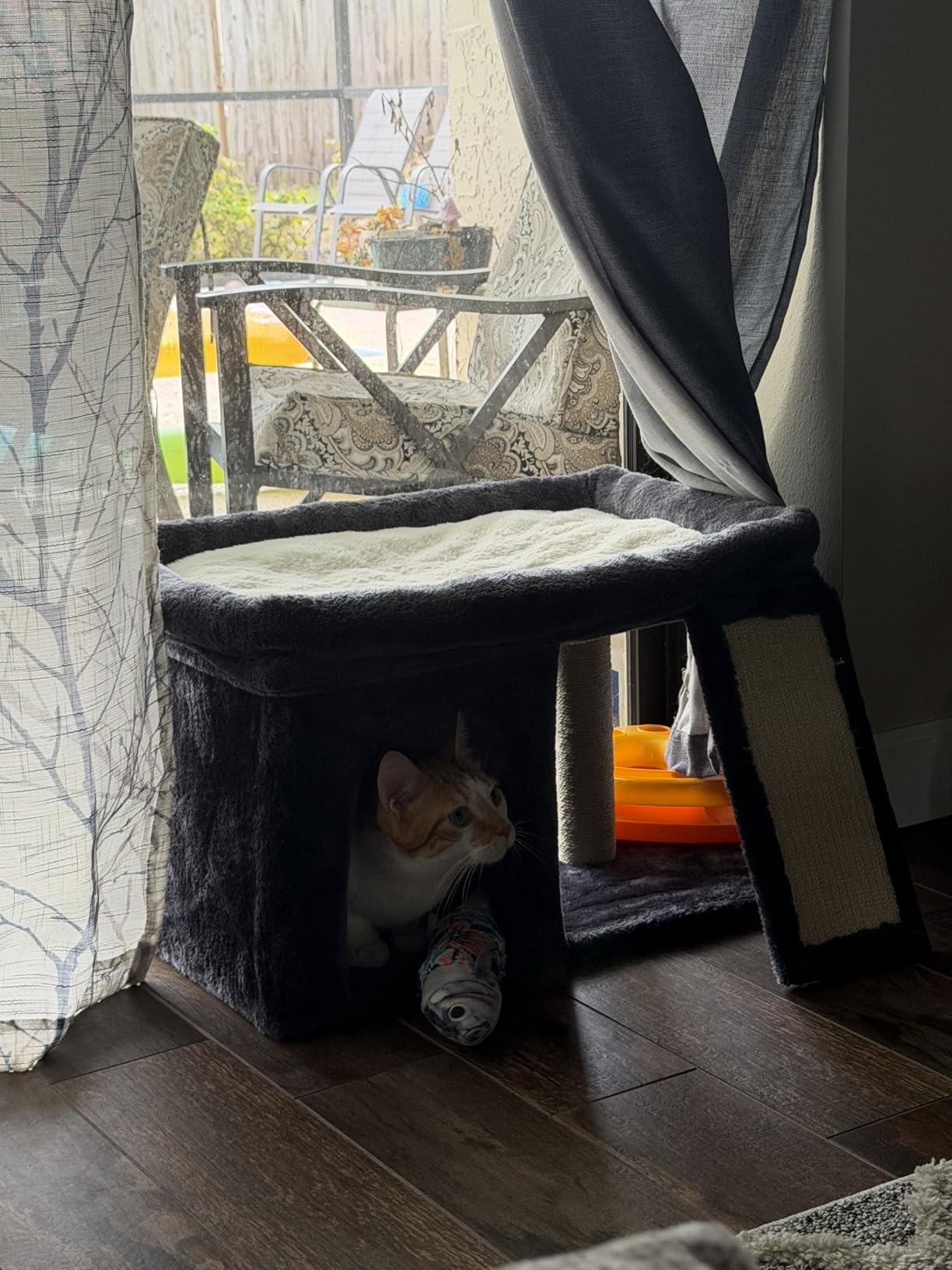 Aechonow Cat Tree for Large Cat, 19x16.5In Large Cat Perch, Adult Cat Tower for Indoor Cats with 24In Long Scratching Post, 2 Cozy Cat Condo House for Adult & Fat Cats, Dark Gray customer photo 1