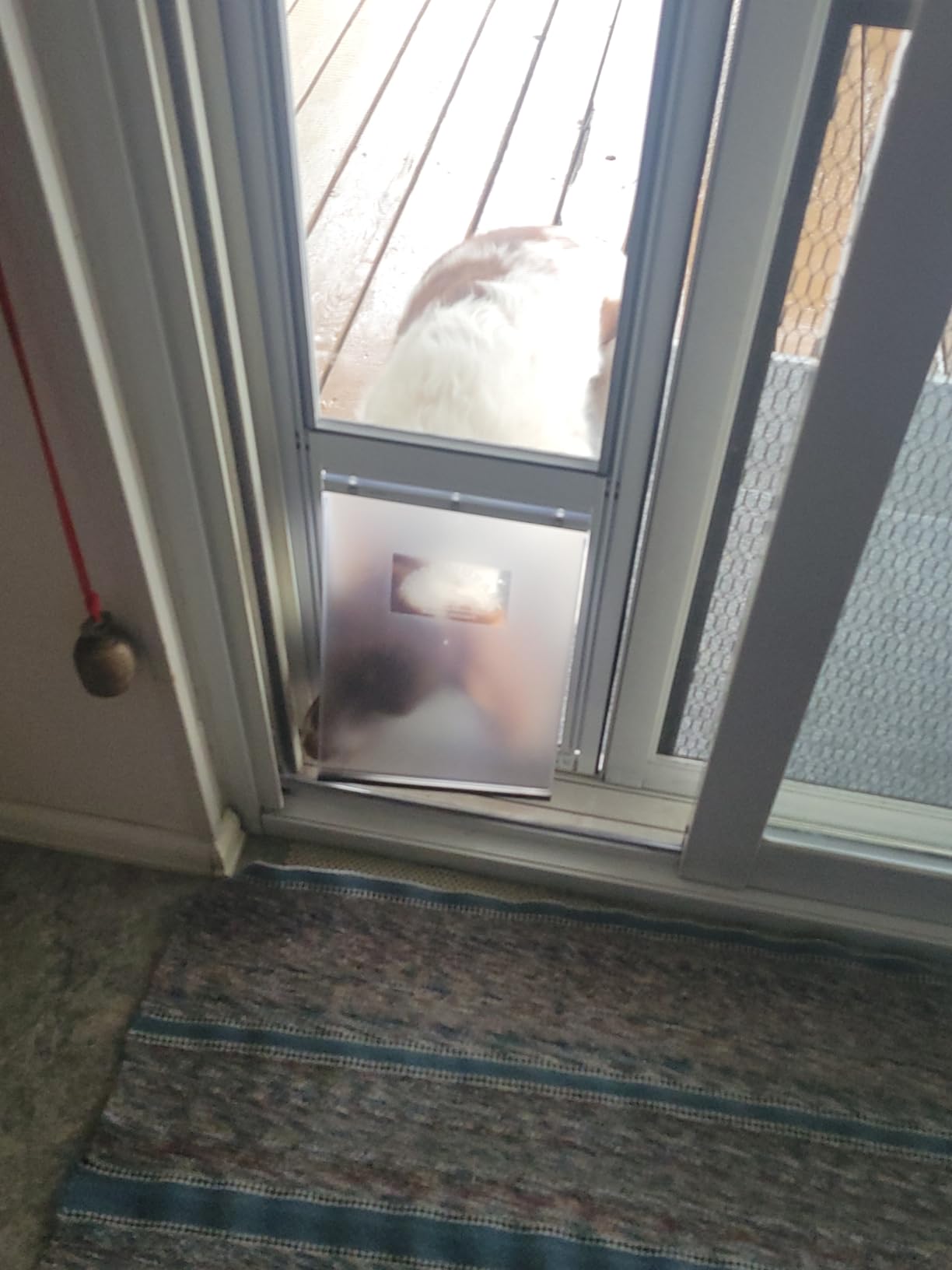 Hakuna Pets V2 Patio Pet Door Screen Insert Panel for Sliding Doors, Fits Door Track Min Ht 62.99