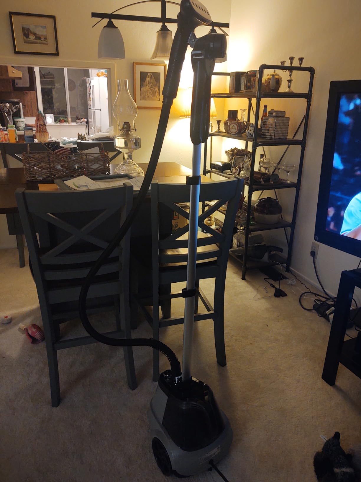 True & Tidy Heavy-Duty Garment Steamer w/ 3 Settings, 3L Water Tank, 1800W customer photo 1