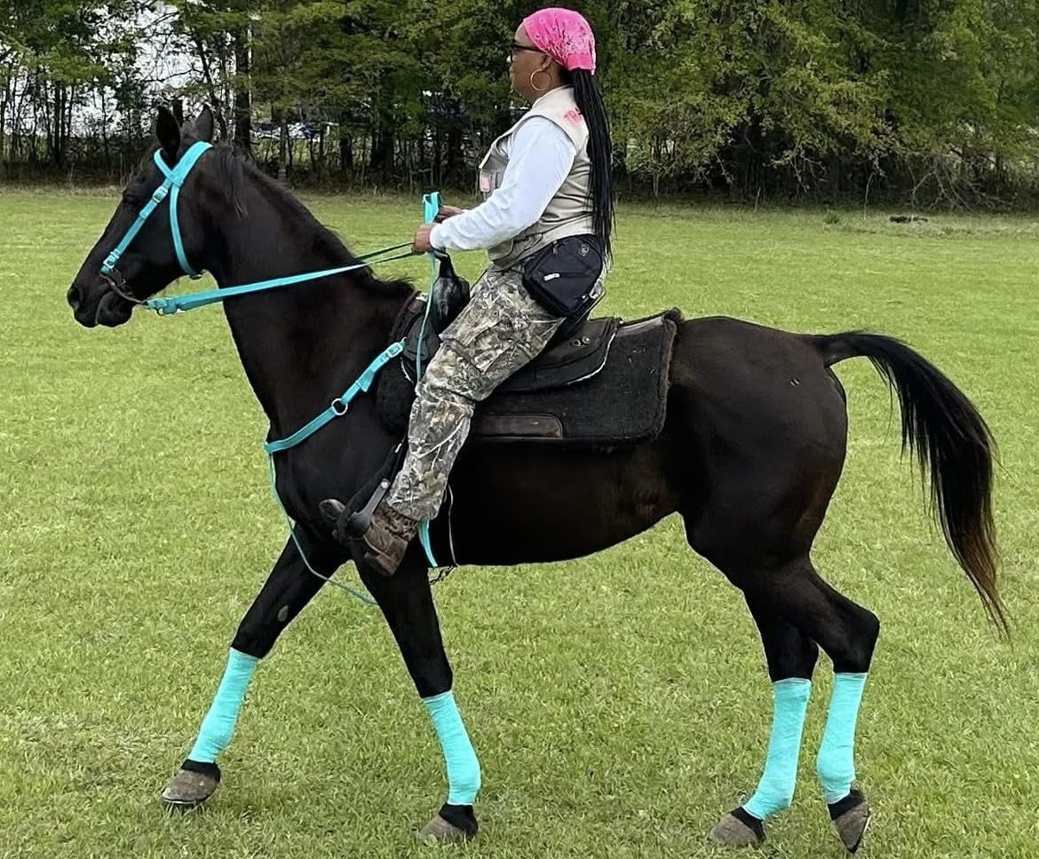 Majestic Ally Nylon Padded Equestrian Browband Headstall, Reins & Breast Collar Set for Horse - Full customer photo 1