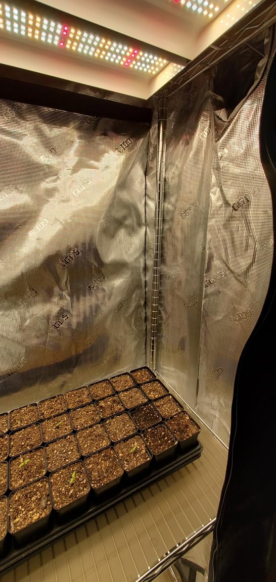 Gorilla Grow Tent 2x4 Fixed Height Indoor Grow Tent, 6'11