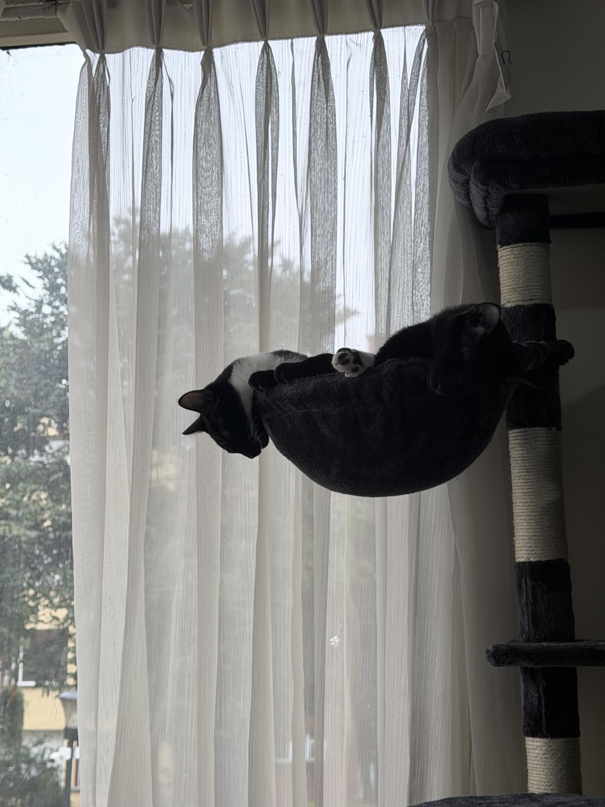 Hey-brother Cat Tree, 74 inches Multi-Level XL Large Cat Tower for Indoor Cats with Three Cat Condos, Two Large Top Decks and Cat Hairbrush for Kittens, Cats and Pets, Smoky Gray MPJ035-MG customer photo 1