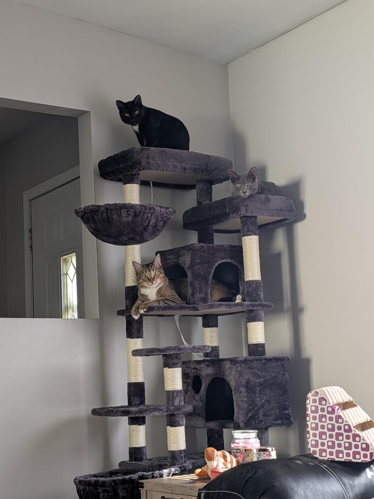 Hey-brother Cat Tree, 74 inches Multi-Level XL Large Cat Tower for Indoor Cats with Three Cat Condos, Two Large Top Decks and Cat Hairbrush for Kittens, Cats and Pets, Smoky Gray MPJ035-MG customer photo 2