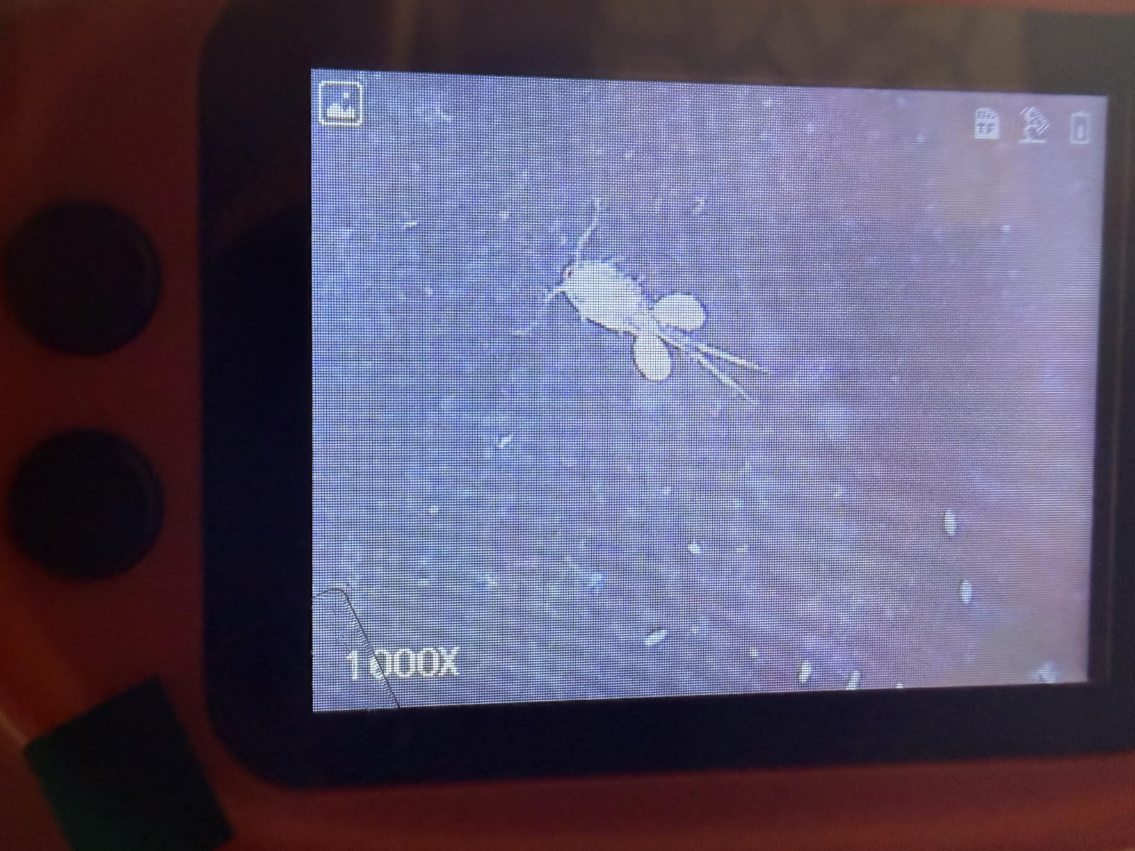 1000X Handheld Microscope for Kids 4K 2.0