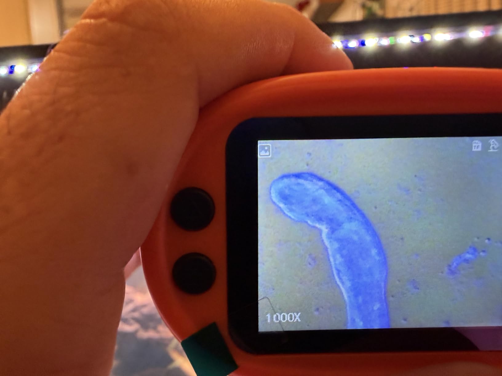 1000X Handheld Microscope for Kids 4K 2.0