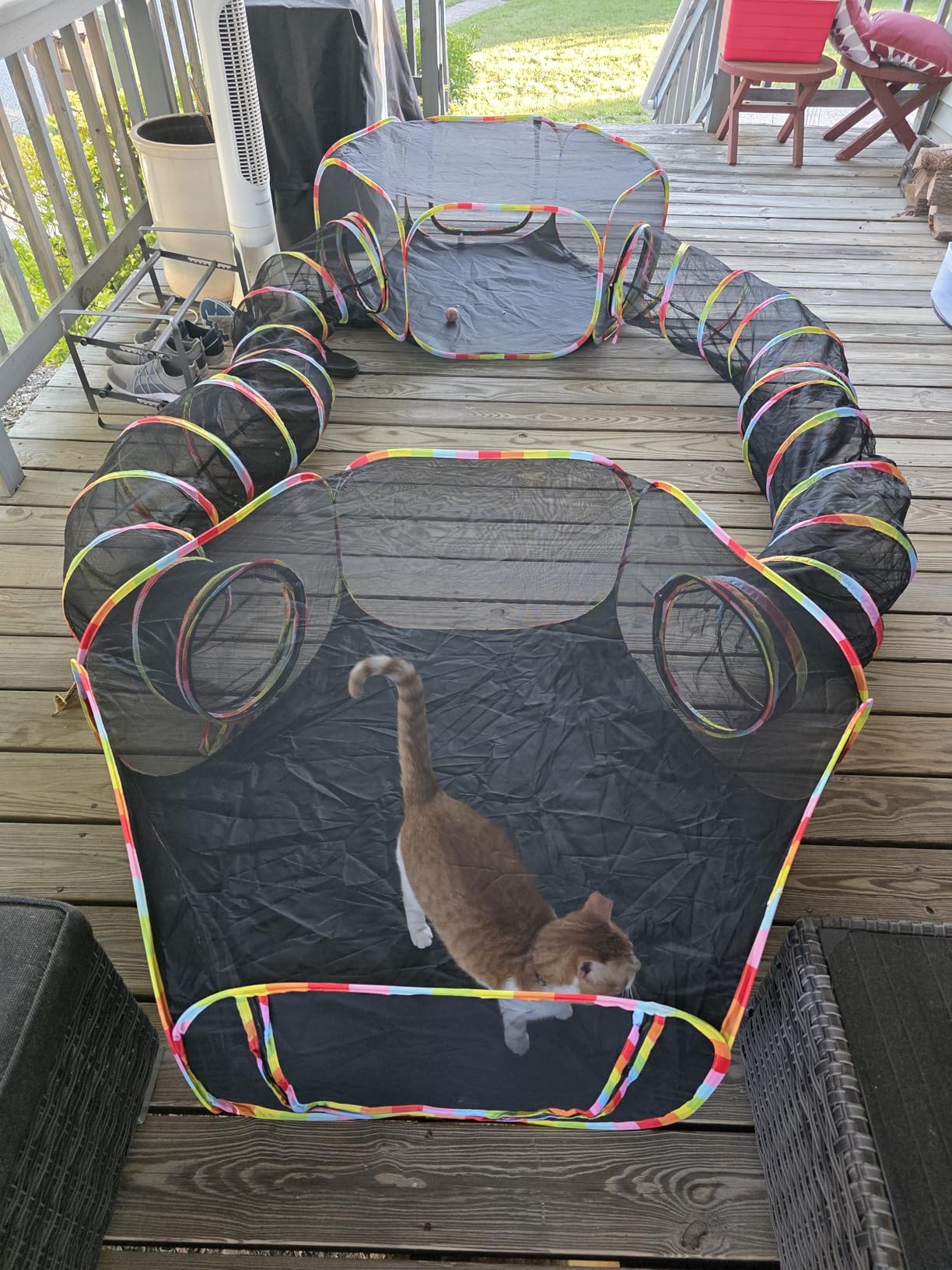 Outdoor Cat Enclosures, Cat Playground Portable Catio Mesh Tent, Outside Circle Playpen Tunnel for Kitty, Rabbit, Puppy and Small Animals customer photo 1