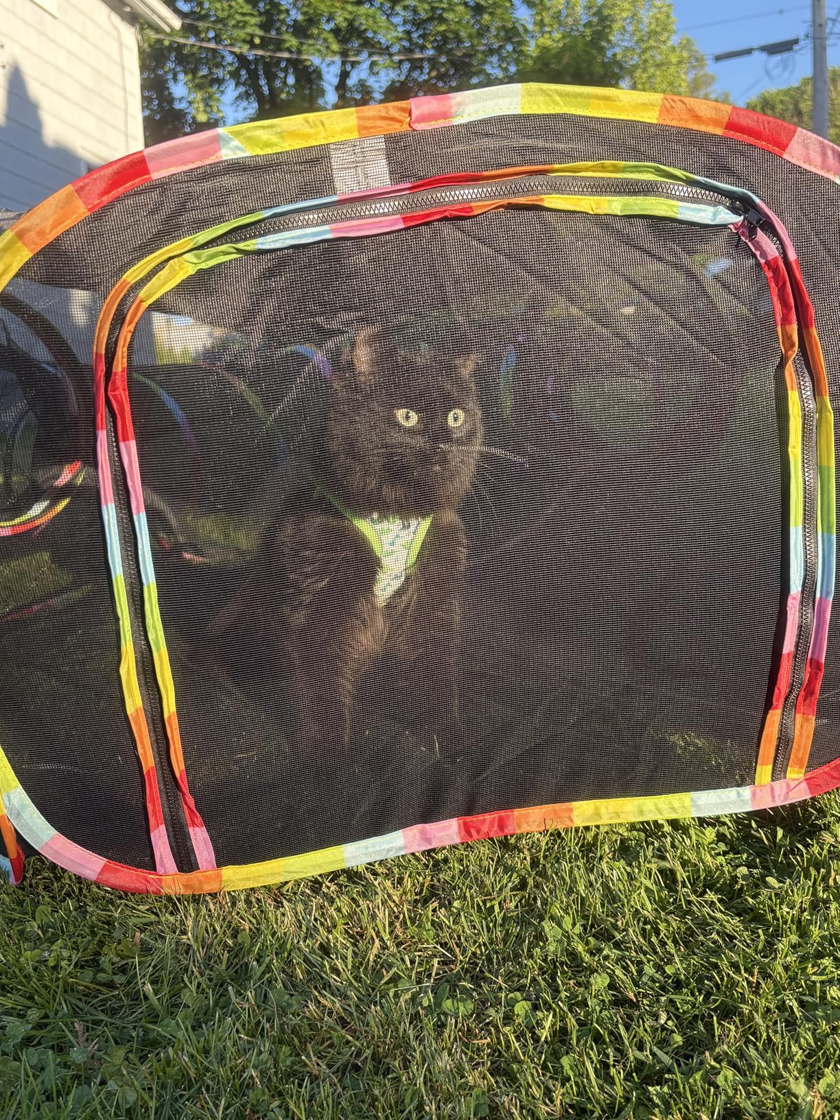 Outdoor Cat Enclosures, Cat Playground Portable Catio Mesh Tent, Outside Circle Playpen Tunnel for Kitty, Rabbit, Puppy and Small Animals customer photo 2