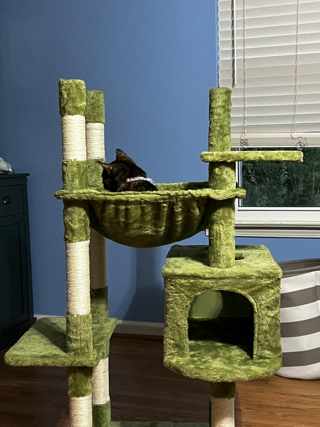 Heybly Cat Tree, 71-Inch-Tall Tower for Indoor Cats with 2 Perches, 2 Big Condos, 2 Hammocks, Basket, Scratching Pad, Large Cat Furniture and Condo, Smoky Gray HCT034G customer photo 1