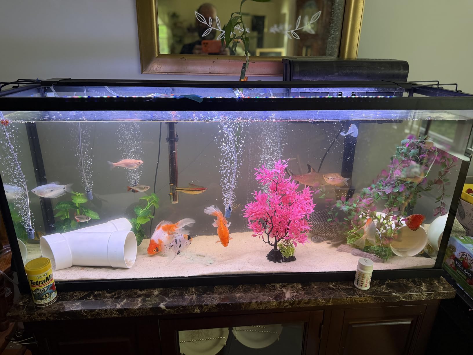 AQQA LED Aquarium Light, 24/7 Mode IP68 Waterproof Extendable Bracket Fish Tank Light, DIY Mode Full Spectrum Aquarium Plant Light, Adjustable Timer/Brightness Memory Function for 48-55 Inch Fish Tank customer photo 1