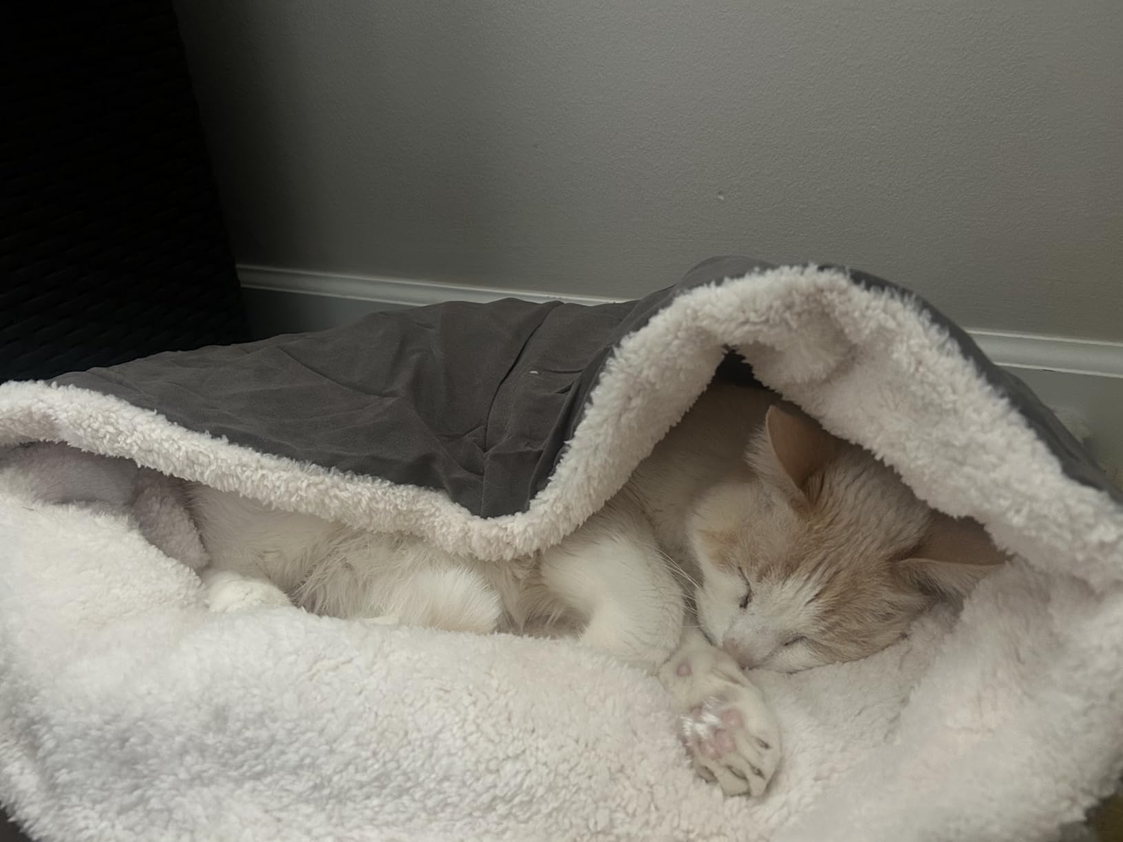 Heated Cat Bed with Auto Shut Off Timer, 17.7
