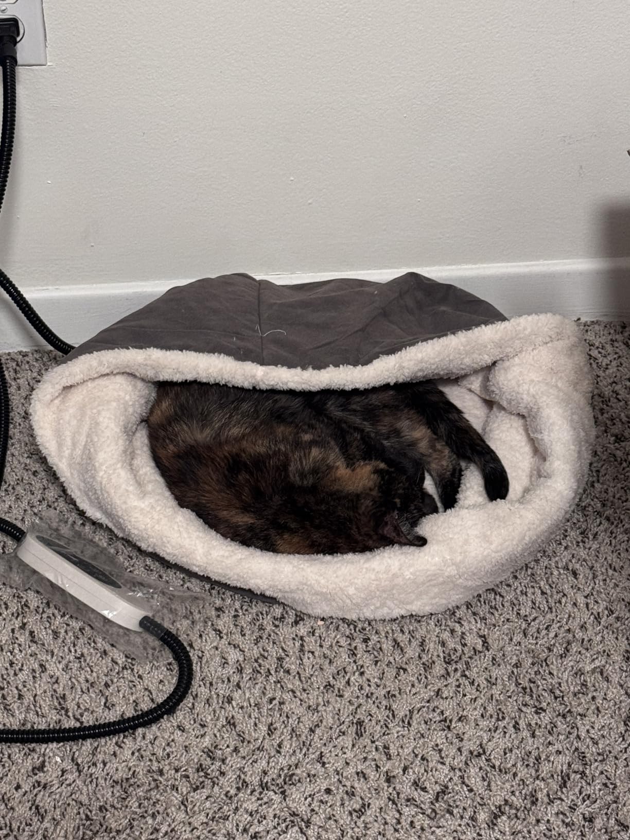 Heated Cat Bed with Auto Shut Off Timer, 17.7
