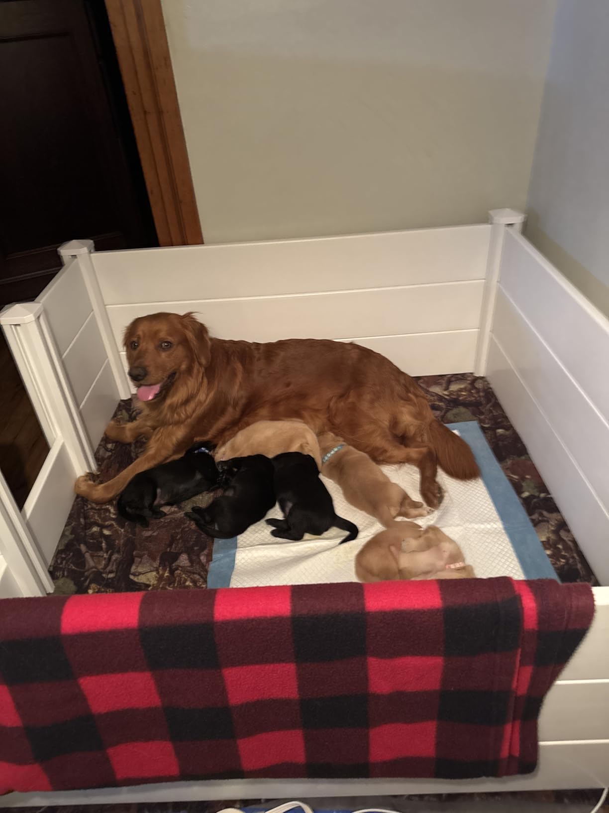 Whelping Box for Large Breed Dogs, Whelping Box for Puppies, PVC Puppy Playpen, Waterproof & Rustproof Whelping Pen, 48x48x18 in, White customer photo 1