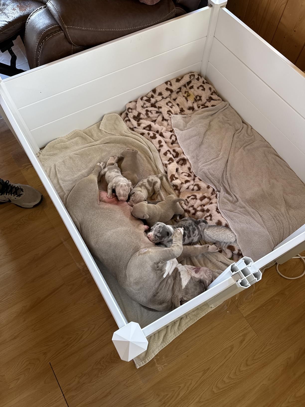 Whelping Box for Large Breed Dogs, Whelping Box for Puppies, PVC Puppy Playpen, Waterproof & Rustproof Whelping Pen, 48x48x18 in, White customer photo 2