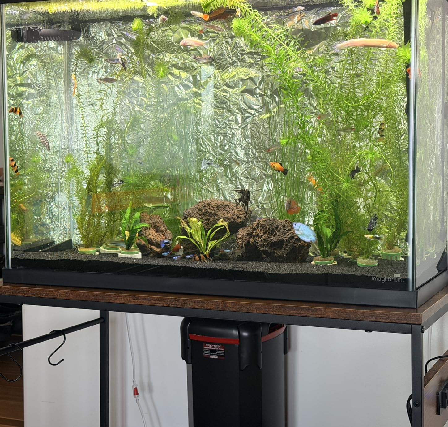 PONDFORSE Canister Filter, External Aquarium Filter Ultra-Quiet Water Circulation Cleaning Machine with Media for Fish Tanks and Aquariums customer photo 1