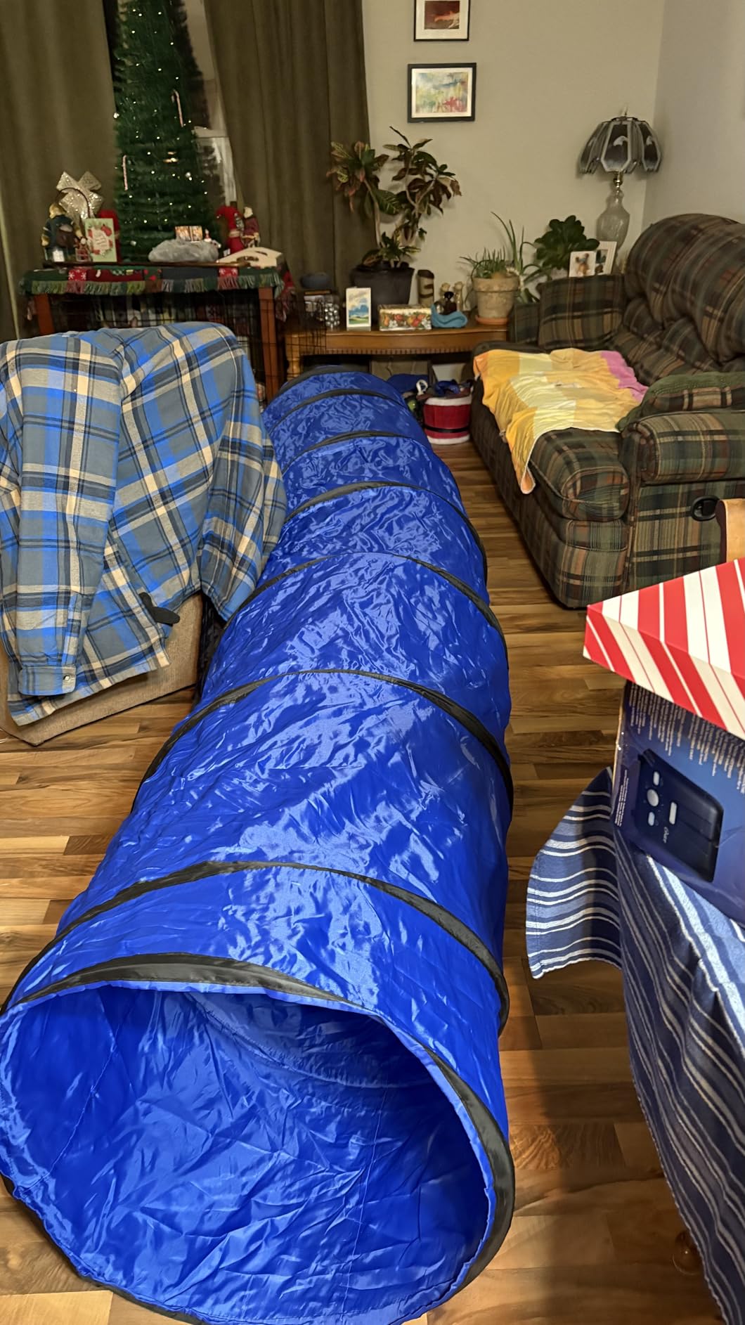 Dog Agility Training Equipment Tunnel: JOPAVO 10 Foot Agility Tunnel with 2 Pack Sandbags, Carry Bag and 4 Ground Spikes. Ideal Agility Equipment for Dog Obstacle Course, Exercise & Park customer photo 1