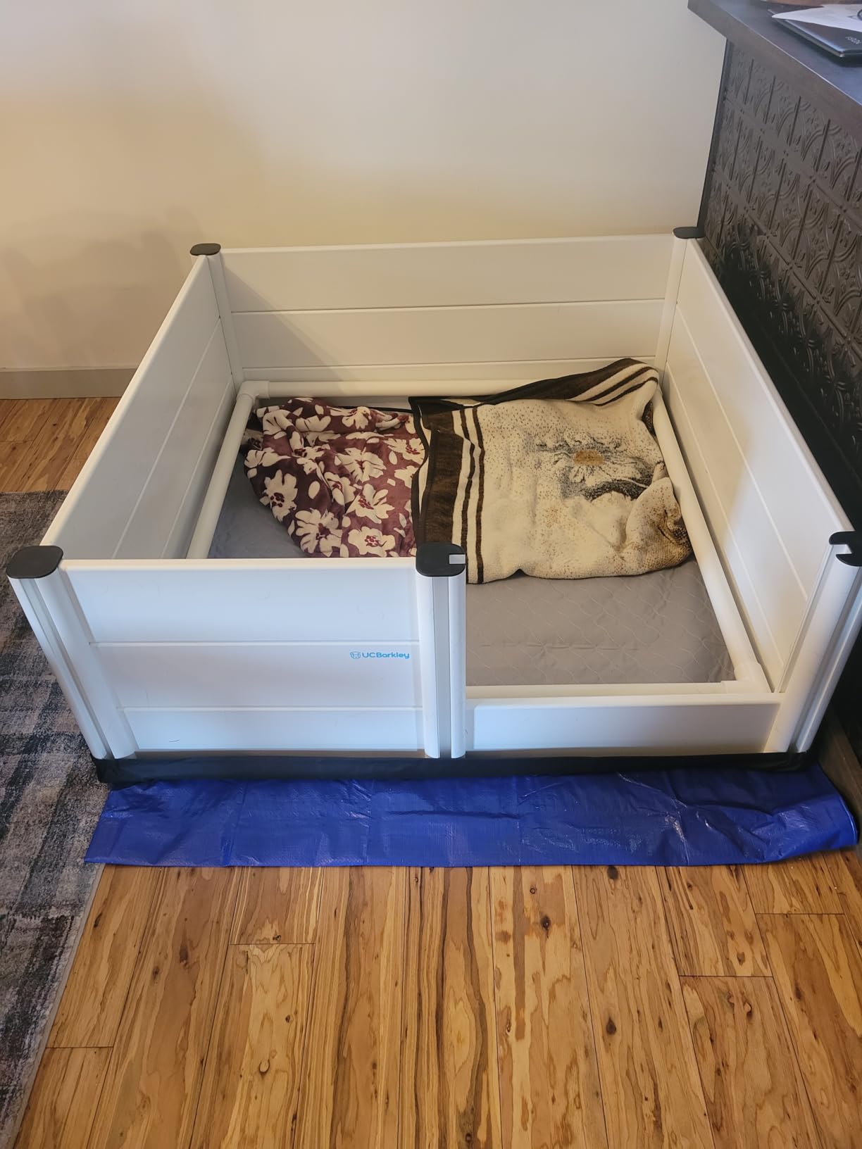 Whelping Box for Dogs & Puppies - Premium 48