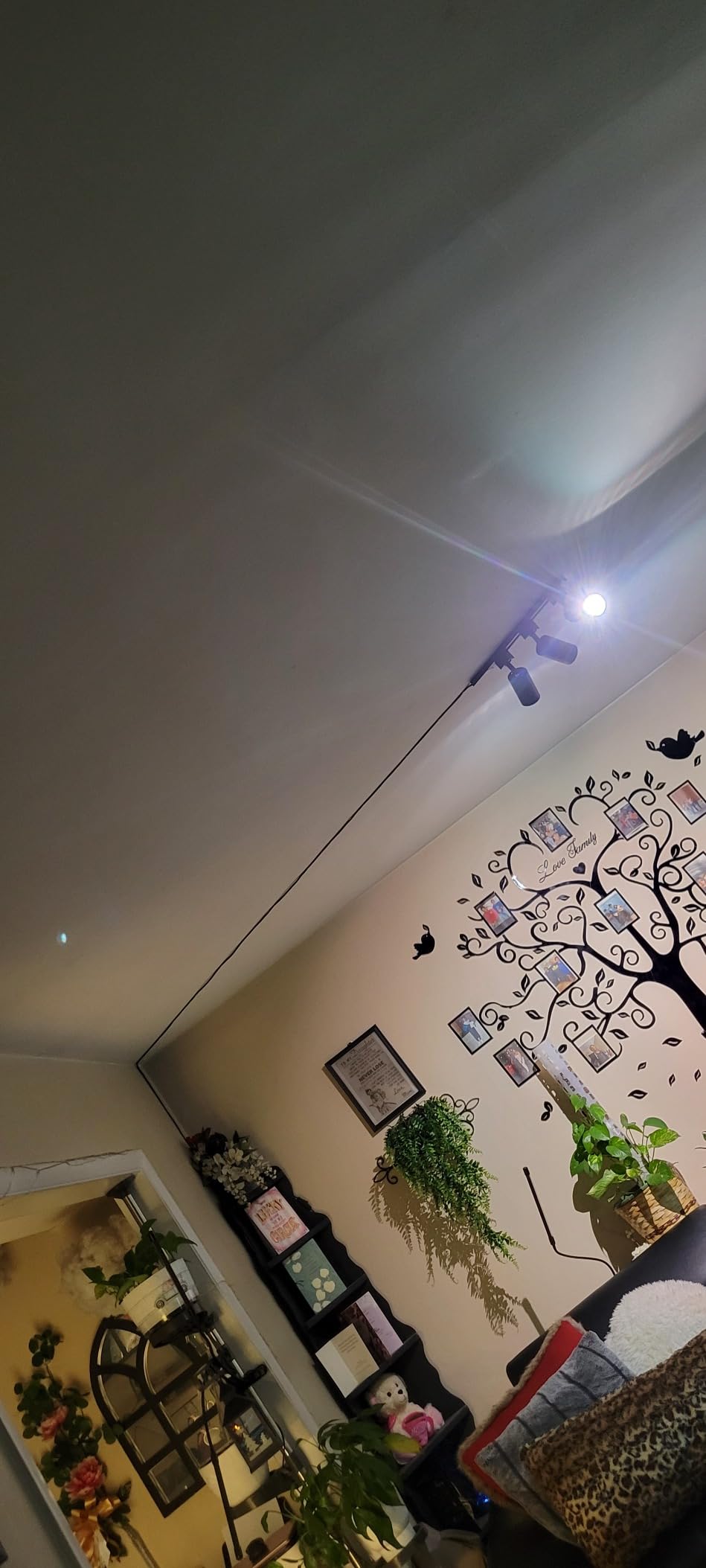 Plug in Track Lighting with Power Cord, 4-Light GU10 Track Lighting Kit with Track Rail, Modern Kitchen LED Track Lighting Fixtures Ceiling Wall Spot Light, 13FT Plug Cord, Black (No Bulbs) customer photo 1