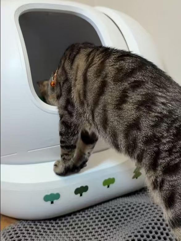 PETKIT PuraMax 2 Automatic Self-Cleaning Cat Litter Box, App Control Automatic Litter Box with Safety Sensors, Odor Free & Anti-Leakage Basic Bundle Includes Trash Bags, 2.4G WiFi & Low Entrance customer photo 2