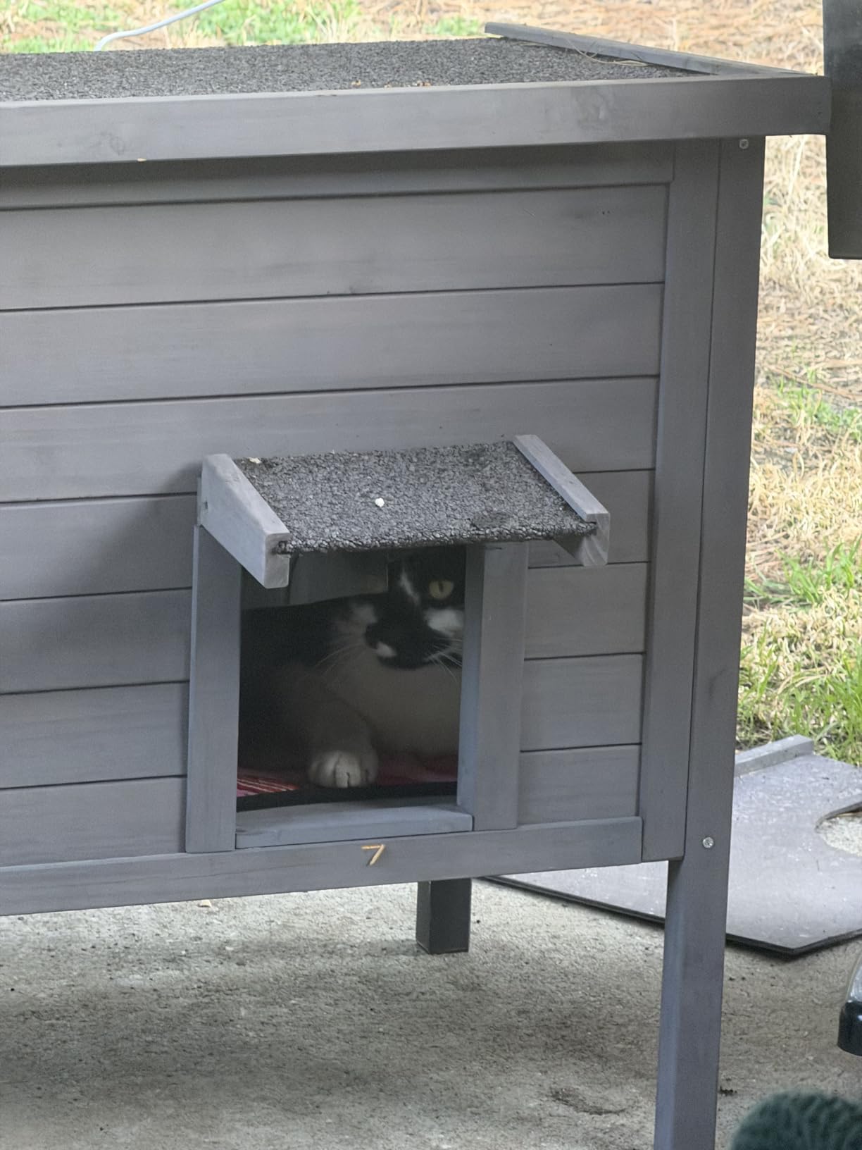 VEVOR Outdoor Cat House Weatherproof, Feral Cat Shelter for Multiple Cats, Outdoor Wooden Cat Rabbit House with All-Round Foam Insulated, Open Roof, PVC Door Flaps, 34