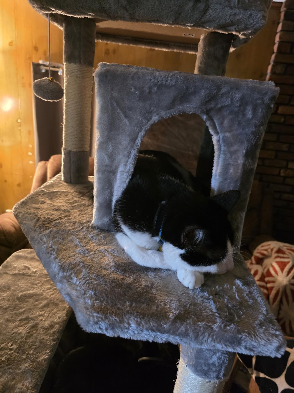 Globlazer Heavy Duty Cat Tree, 70 inch Sturdy Cat Tree for Indoor Cats Extra Large Cat Tower with Scratching Post, Hammock, Cat Condo for Adult Cats Kittens, F70 Pro, Light Grey customer photo 2