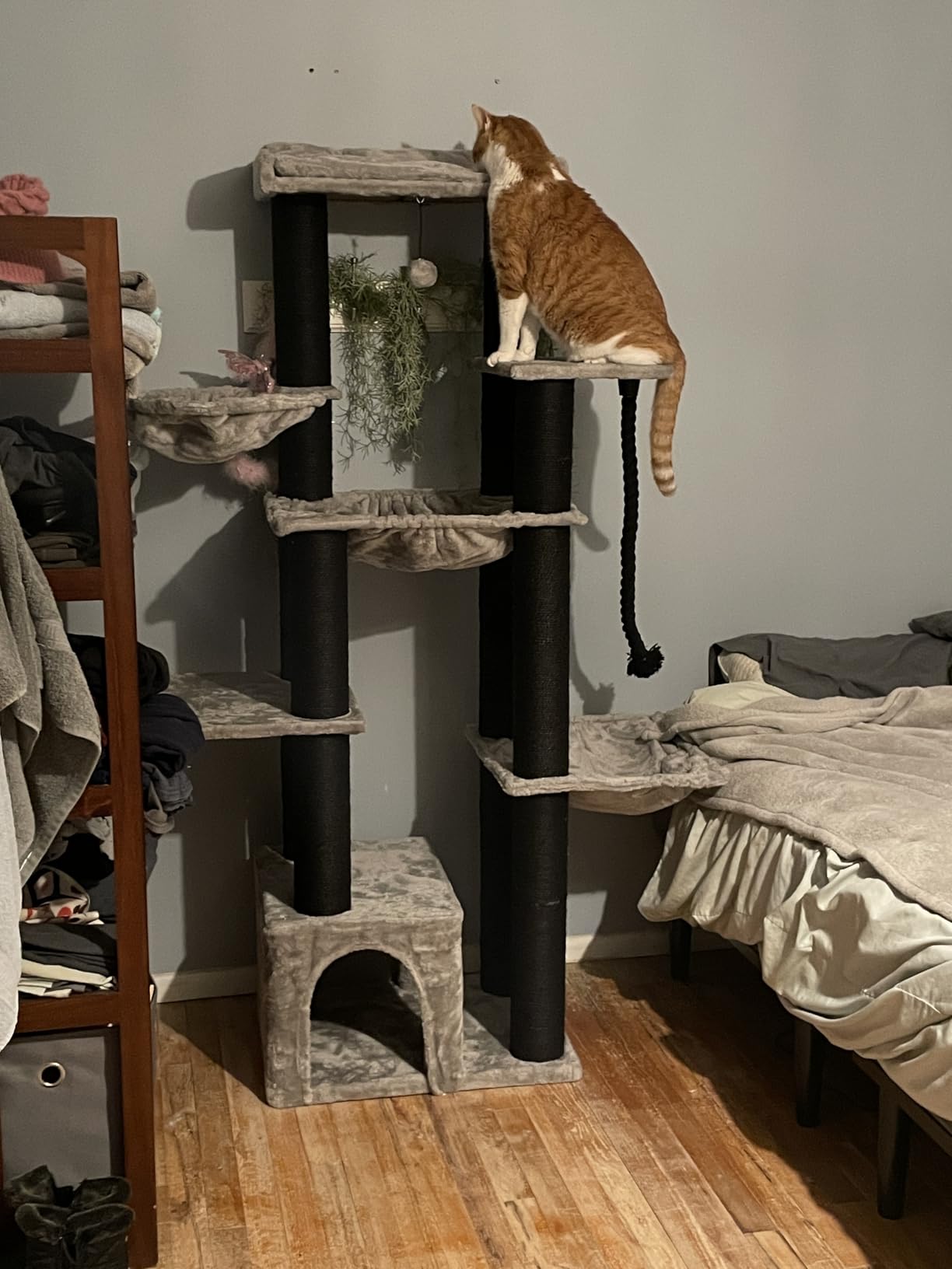 MUTTROS Large Cat Tree with 13 Thick Sturdy Scratching Posts (φ4.3in)-67in Heavy Duty Cat Tower for Indoor Adult Cats with XXL Cat Condo, Super Big Perch & 3 Hammocks for Maine Coon 20 lbs -Gray customer photo 1