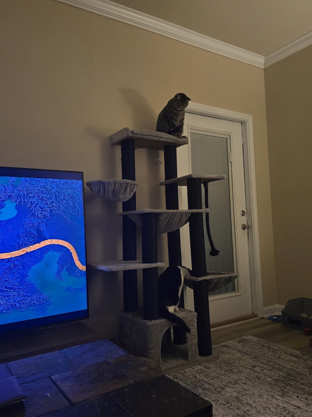 MUTTROS Large Cat Tree with 13 Thick Sturdy Scratching Posts (φ4.3in)-67in Heavy Duty Cat Tower for Indoor Adult Cats with XXL Cat Condo, Super Big Perch & 3 Hammocks for Maine Coon 20 lbs -Gray customer photo 2