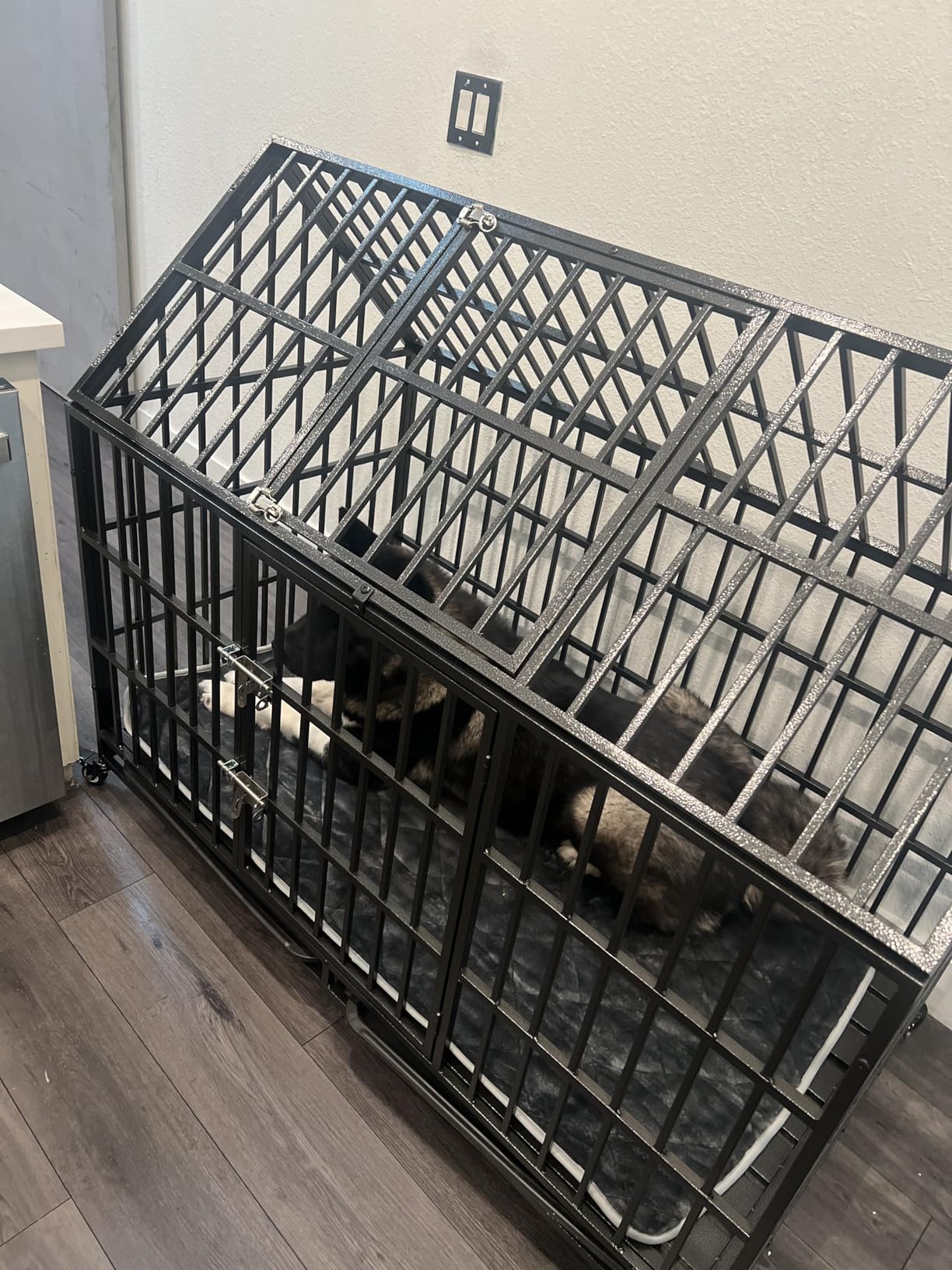 54 Heavy Duty Dog Crate with Mat, Escape Proof Dog Kennel Indoor, High Anxiety Dog Cage with Double Door, Extra Large Crate for Large Dogs with Removable Tray customer photo 1