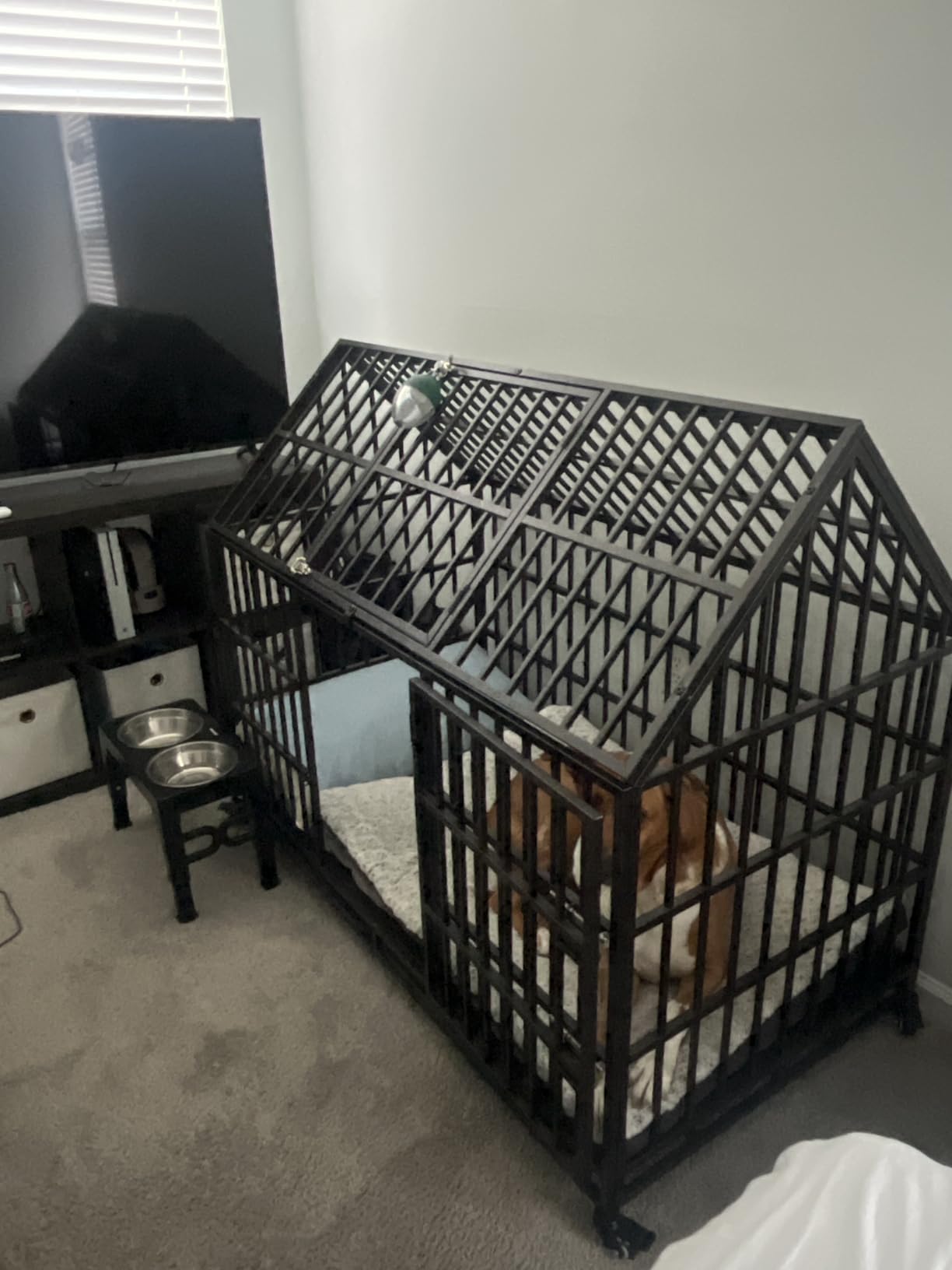 54 Heavy Duty Dog Crate with Mat, Escape Proof Dog Kennel Indoor, High Anxiety Dog Cage with Double Door, Extra Large Crate for Large Dogs with Removable Tray customer photo 2
