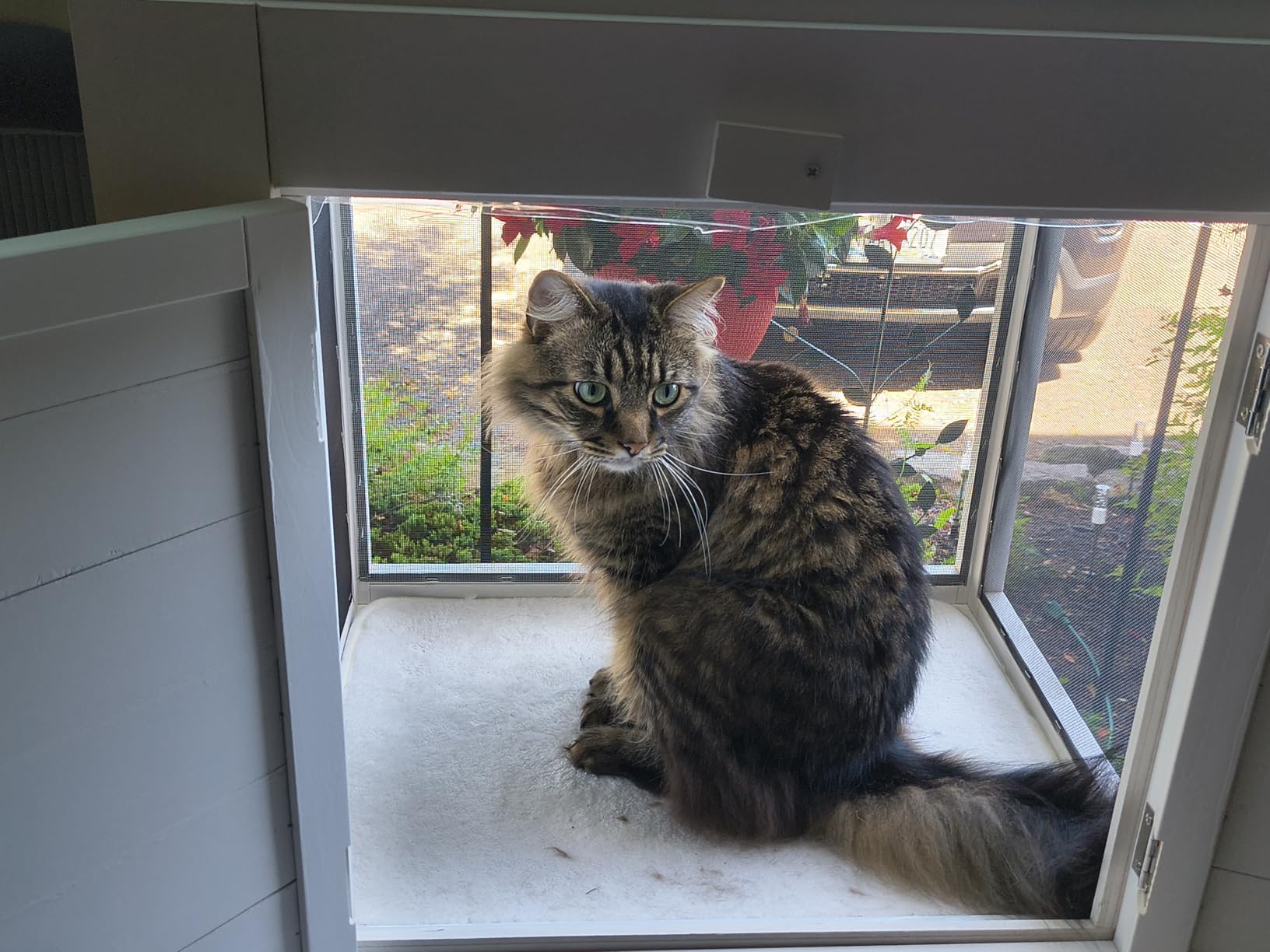 GDLF Cat Window Box, Universal Cat Window Perch Catio with Mosquito Proof, Fits Double Hung Windows 24