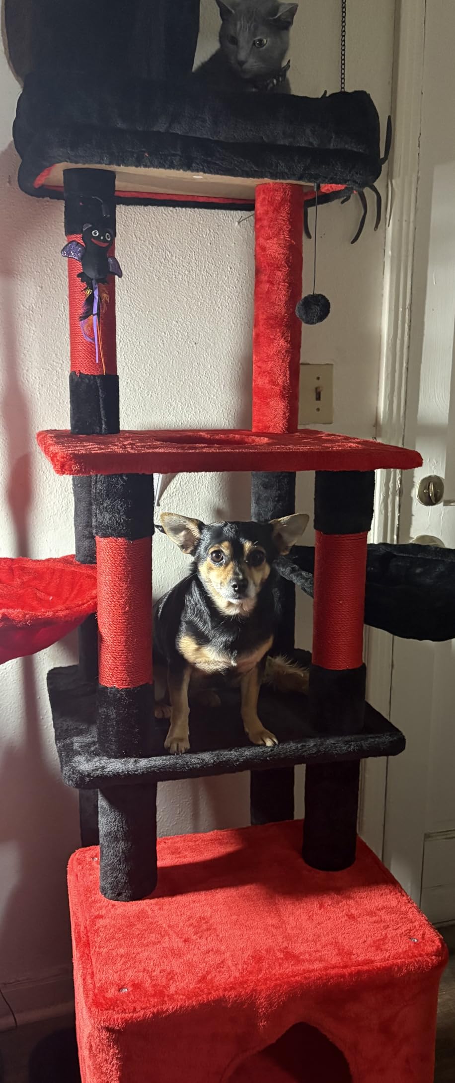 Gardner Pet 65in Heavy Duty Cat Tree Tower for Large Cats, Multi-Level Cat Furniture with Replaceable Sisal Scratching Post, Hammock, Extra-Large Platform & Condo (Beige) customer photo 1