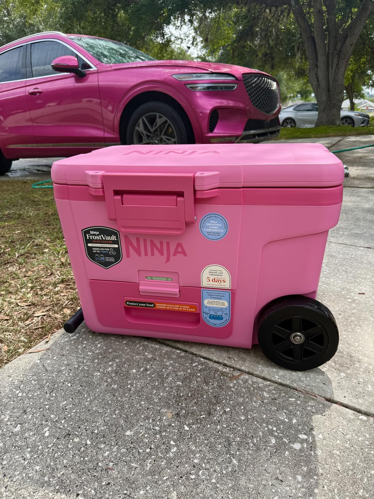 Ninja FrostVault 65QT Insulated Cooler with Temp Dry Storage Drawer, Keeps Ice Cold for Days customer photo 1