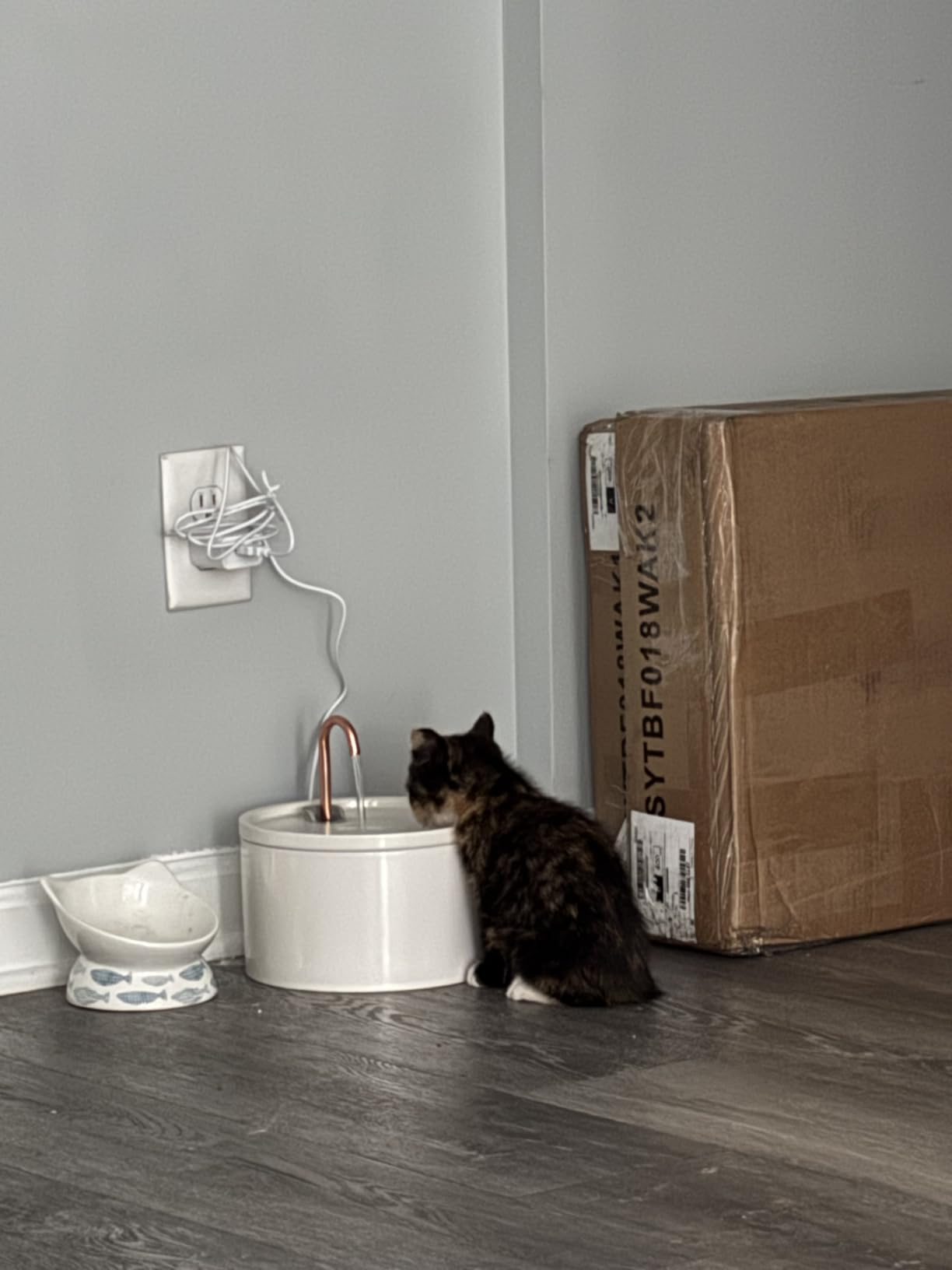 MISFANS Ceramic Cat Water Fountain - 2.1L/71oz - All-Ceramic Body & Pure Copper Water Spout, Non-Toxic, Automatic Pet Drinking Fountain Indoor with Ultra-Quiet Pump customer photo 1