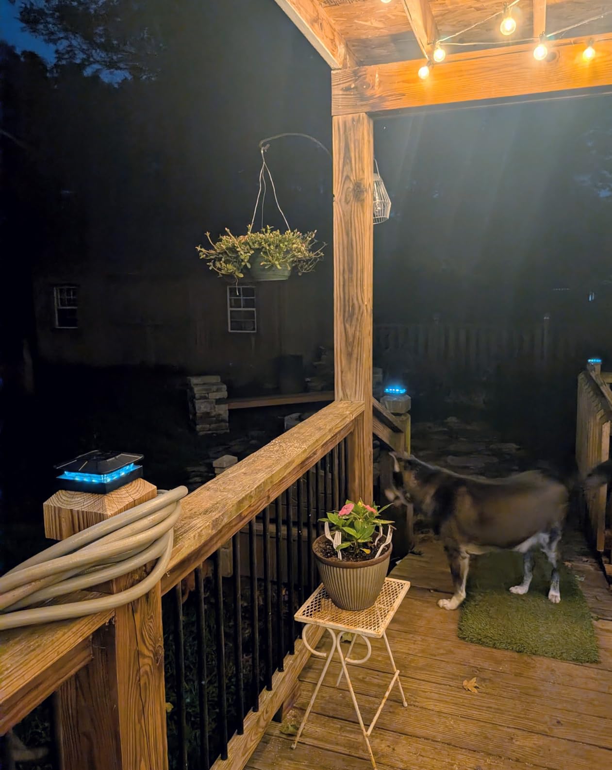 Peasur 4x4 Solar Post Cap Lights Outdoor with 3 Lighting Modes, 2 Packs LED Post Light Solar Powered Waterproof, Fence Deck Lights for 4x4/3.5x3.5 Wood/Vinyl Posts customer photo 1