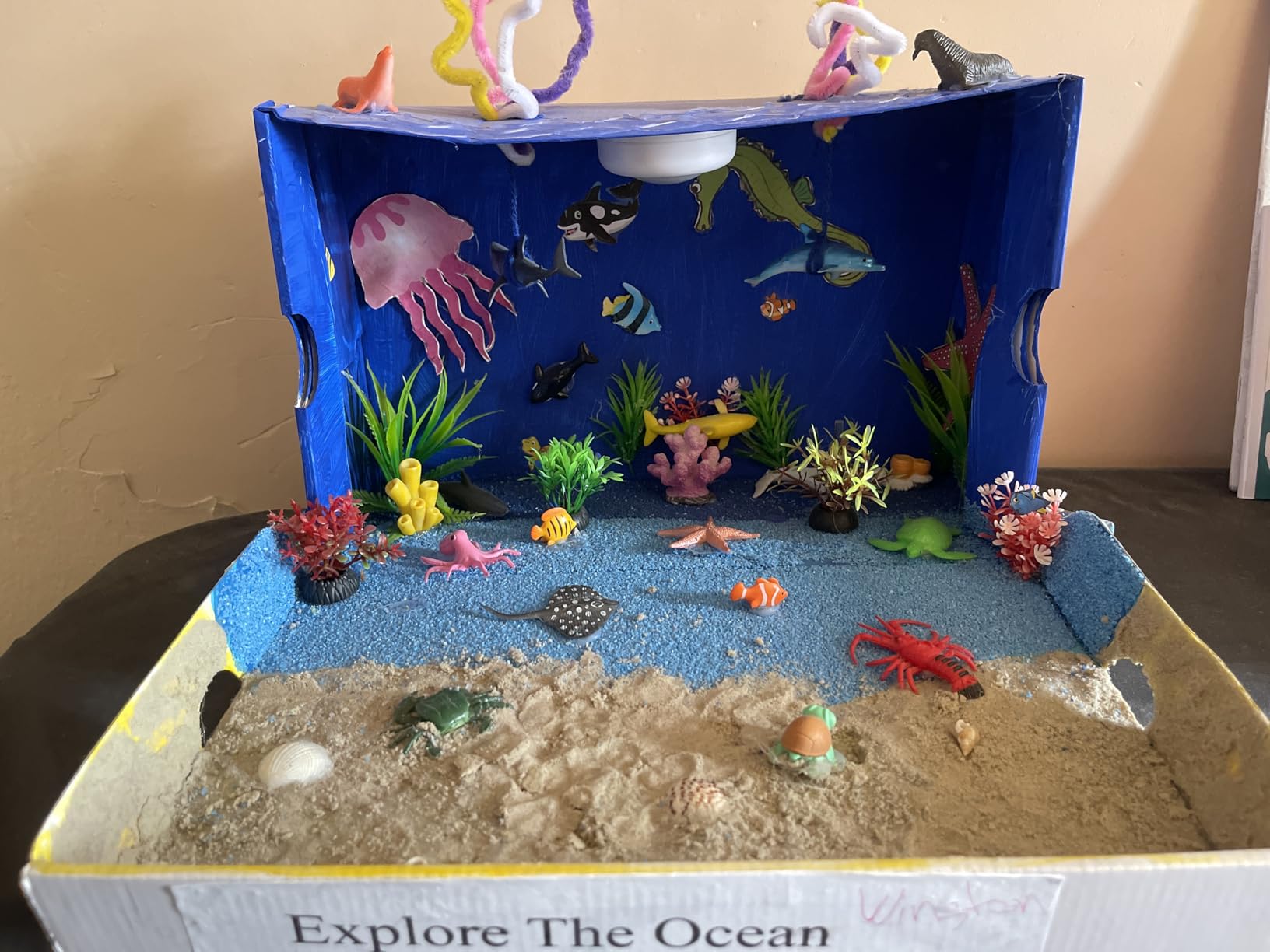 Ocean Light Up Terrarium Kit for Kids - LED Night Light Ocean Birthday Gifts for Girls & Boys Ages 4 5 6 7 8-12, Kids Arts & Crafts Kit, Easter Ideal Gifts customer photo 1