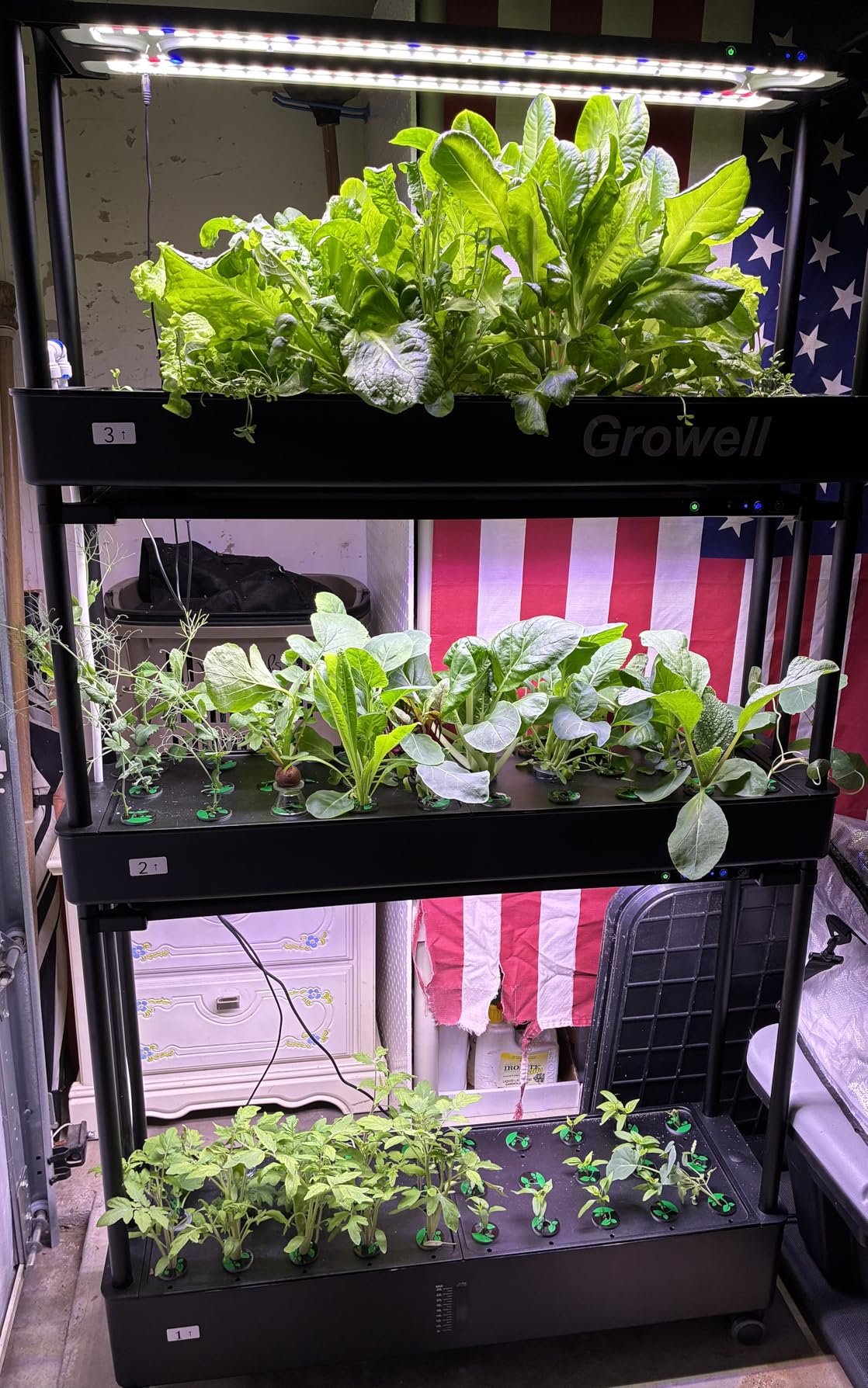Growell Large Hydroponics Growing System Kit, 60 Pods Vertical Hydroponic Garden with 2 Light Modes Grow Light, Auto Circulating Water System, 32L Indoor Gardening System for Herb Vegetable Fruit customer photo 2