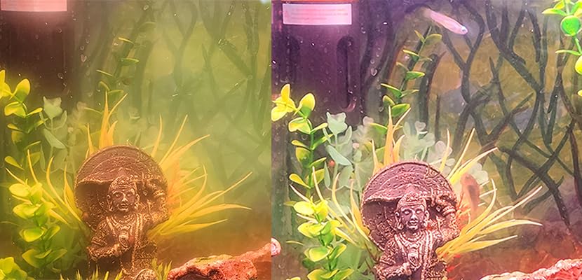 hygger Aquarium U-V Light with Timer, 360° Protective Shield Clean Light for Green Water and Algae Clean, Mini Algae Control Lamp for Freshwater and Saltwater Tank (3W for 5-25 Gallon) customer photo 1