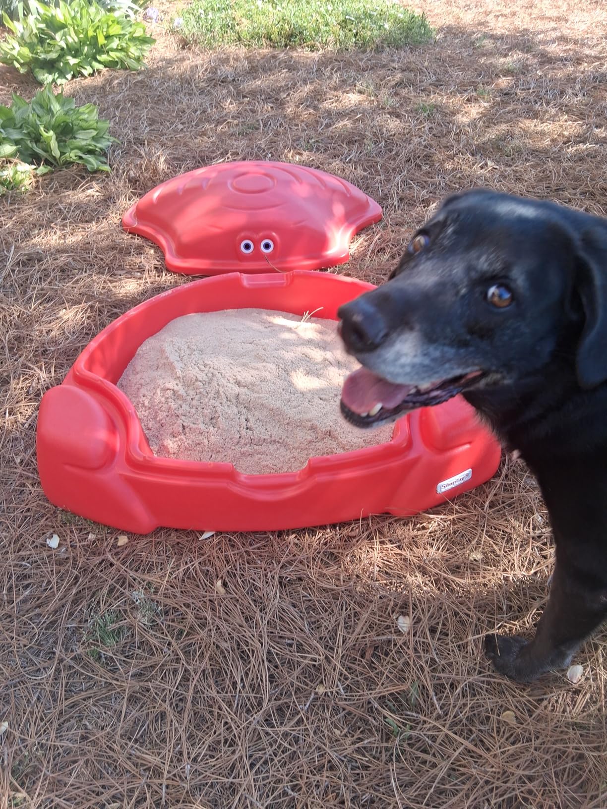 Simplay3 Coastal Crab Fully Assembled Sandbox for Kids, Toddler Outdoor Sand Box with Lid for Playground, Backyard, Ages 1.5 to 5 Years, Made in USA, Red customer photo 2