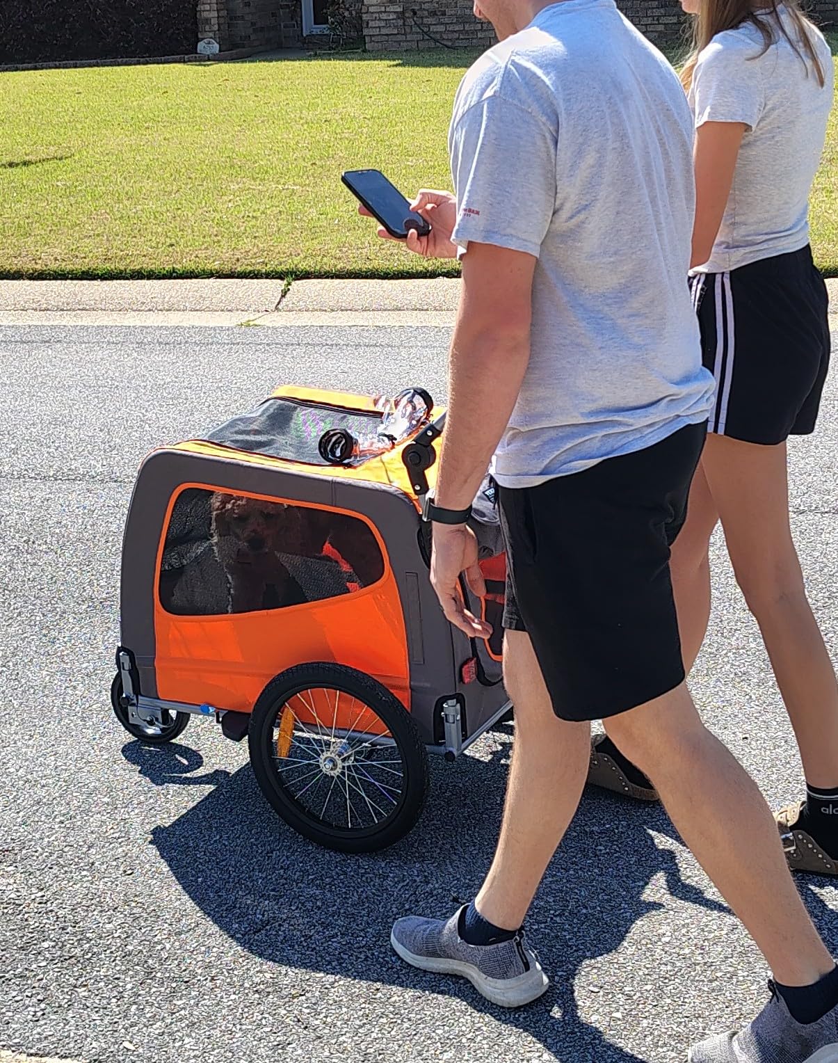 VEVOR Dog Bike Trailer, Supports up to 66/88/100 lbs, 2-in-1 Pet Stroller Cart Bicycle Carrier, Easy Folding Cart Frame with Quick Release Wheels, Universal Bicycle Coupler, Reflectors, Flag customer photo 2