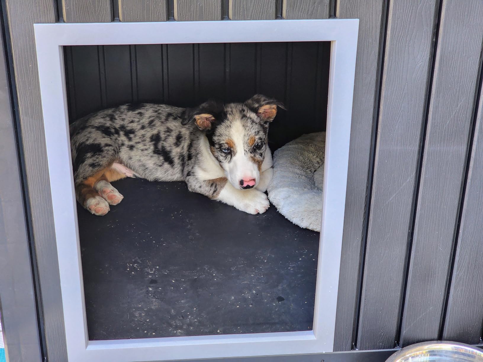 DRATO Large Dog House Outdoor for Indoor with Weatherproof & Removable Roof,Fits Small to Large (Gray, 42.87 * 32.95 * 31.61'') customer photo 1