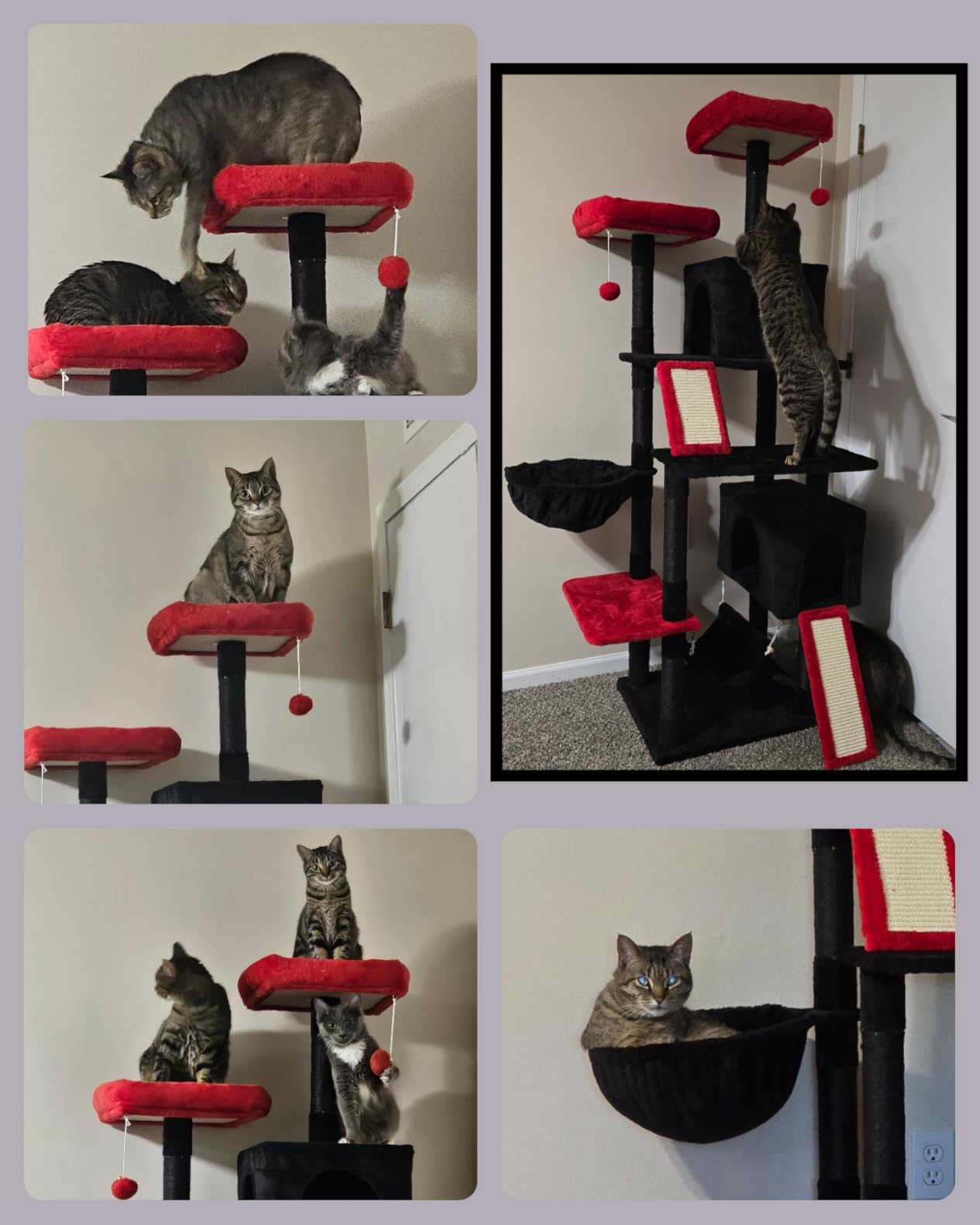 Gitelsnour Cat Tree for Indoor Cats, 71
