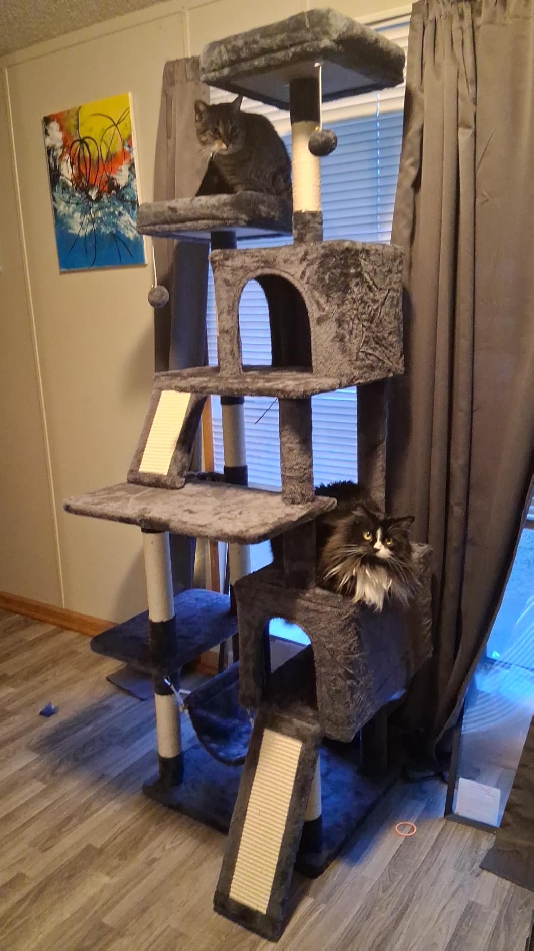 Gitelsnour Cat Tree for Indoor Cats, 71