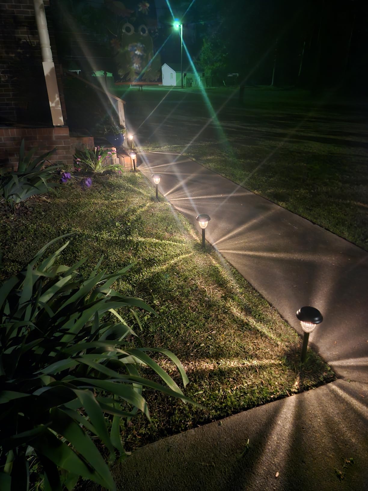 DERAYSION 8 Pack Solar Lights Outdoor, Stainless Steel Glass Solar Pathway Lights, Auto On/Off Long-Lasting Waterproof Garden Lights for Landscape, Path, Yard, Driveway, Walkway Decor (Warm White) customer photo 2