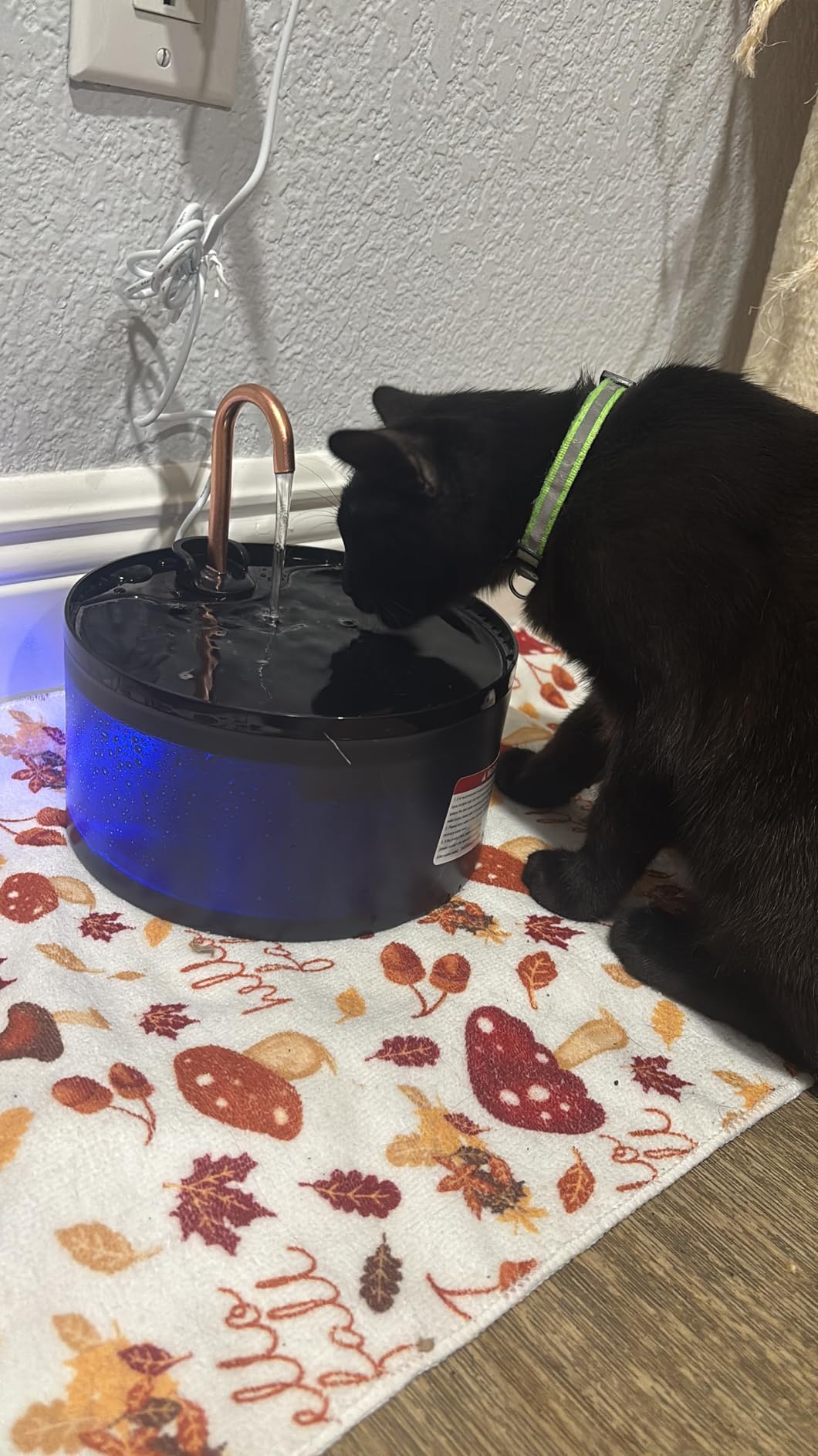 Cat Water Fountain, 71oz/2.1L Cat Fountain for Drinking with Copper Faucet, MISFANS-Designed Pump & Filter, Plastic Automatic Pet Water Fountain Bowl & Dispenser customer photo 2
